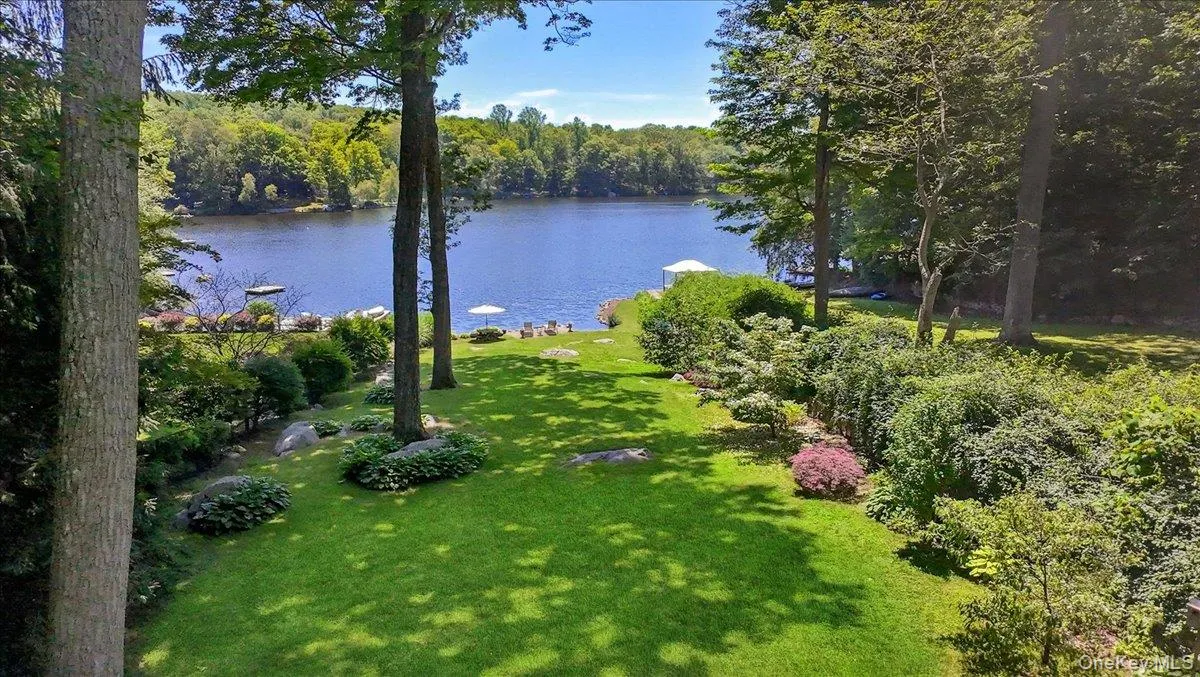Water view with a forest Water view with a forest