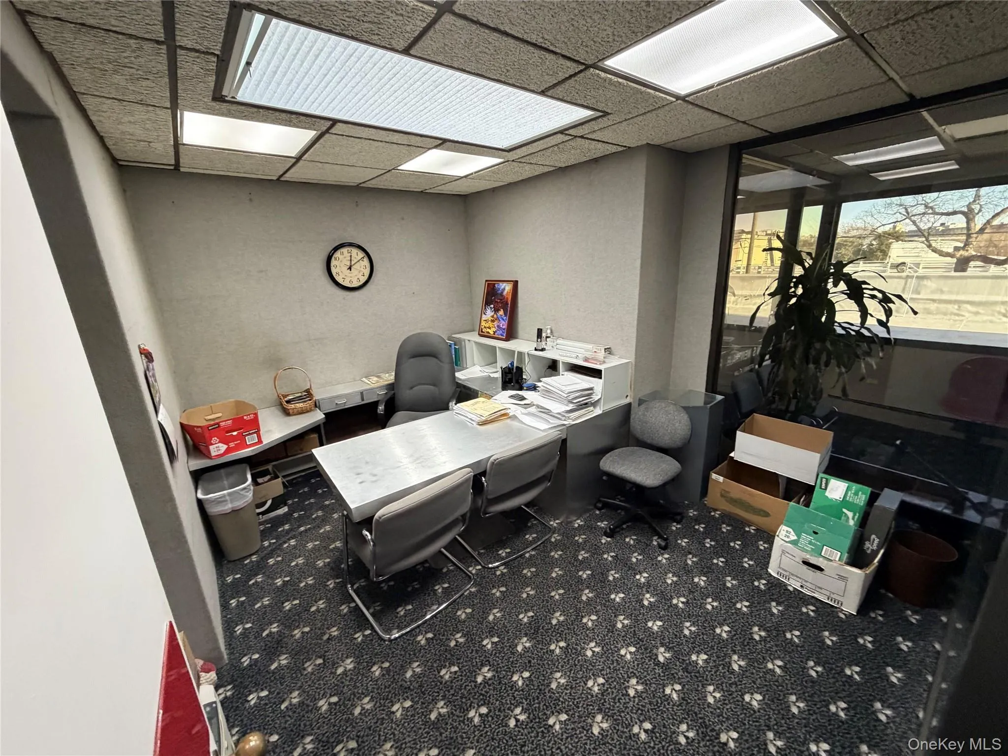 Carpeted office featuring a drop ceiling Carpeted office featuring a drop ceiling