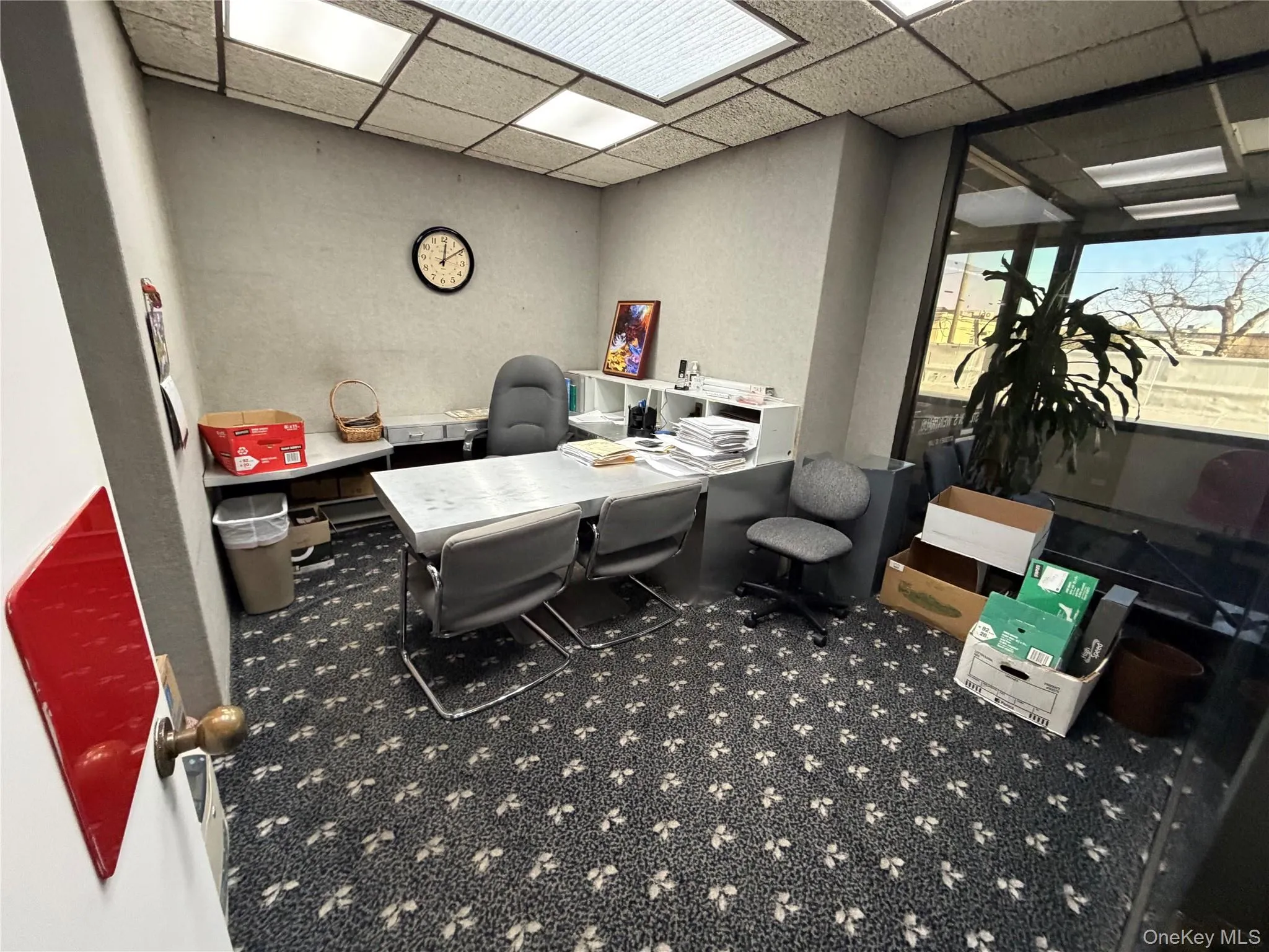 Home office featuring a paneled ceiling and carpet flooring Home office featuring a paneled ceiling and carpet flooring