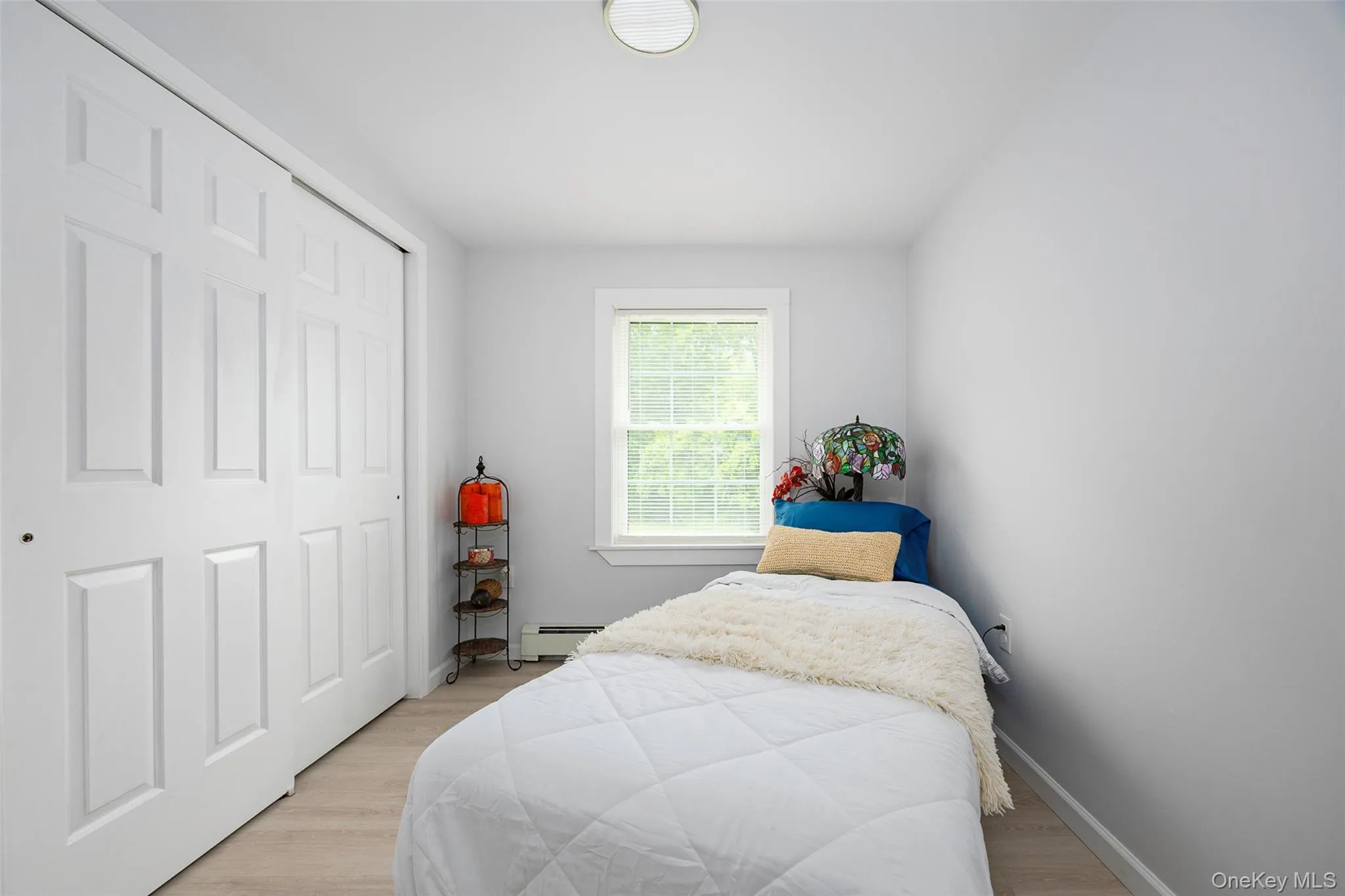 Bedroom with a baseboard radiator, light wood-style floors, and a closet Bedroom with a baseboard radiator, light wood-style floors, and a closet
