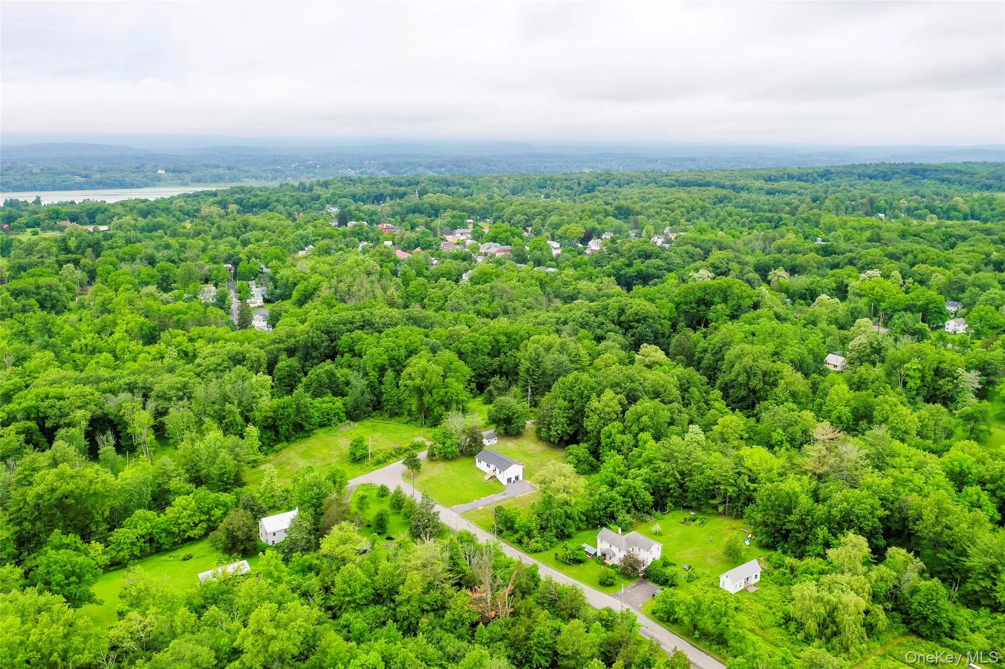 Drone / aerial view of a forest Drone / aerial view of a forest