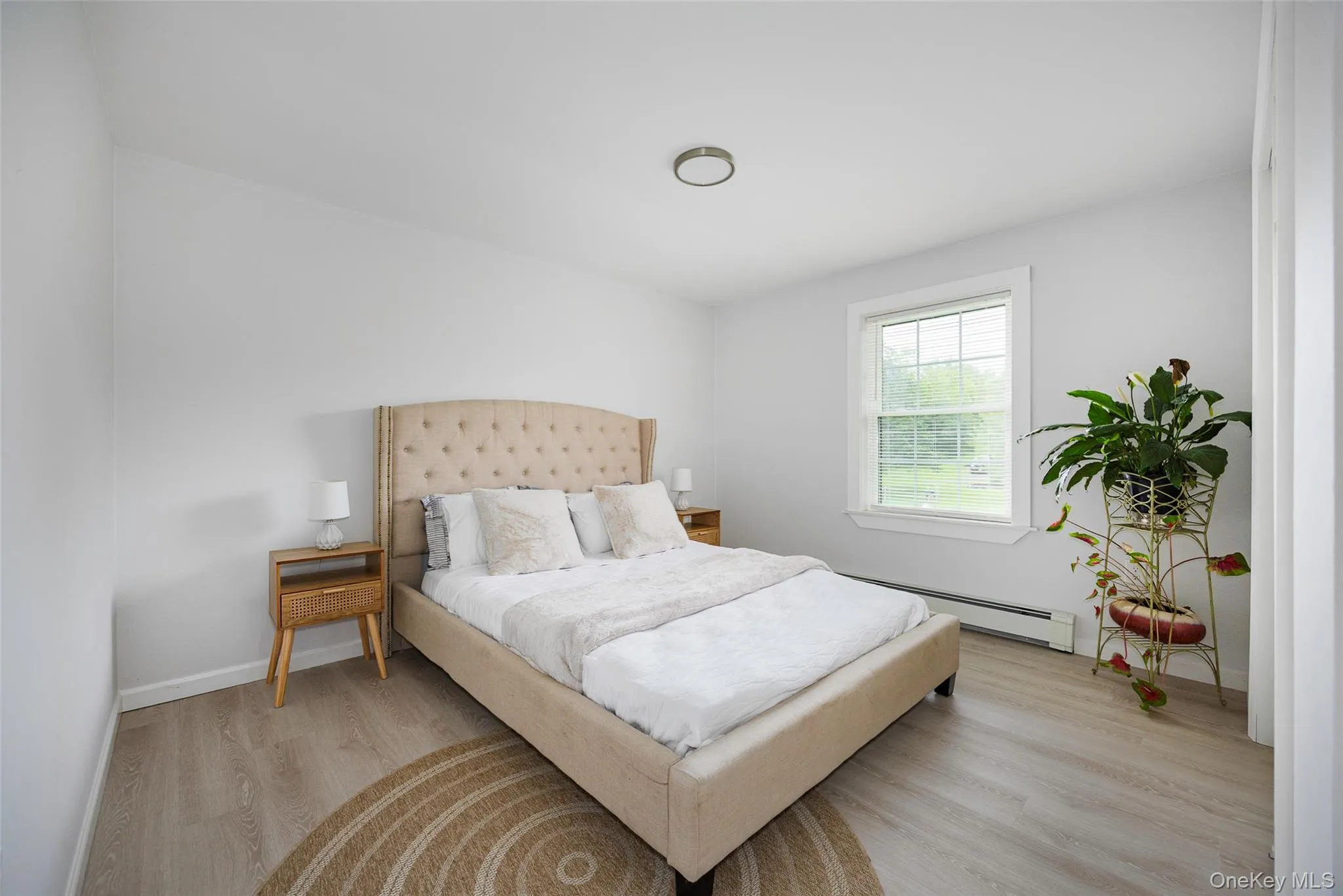 Bedroom featuring a baseboard radiator and light wood-type flooring Bedroom featuring a baseboard radiator and light wood-type flooring