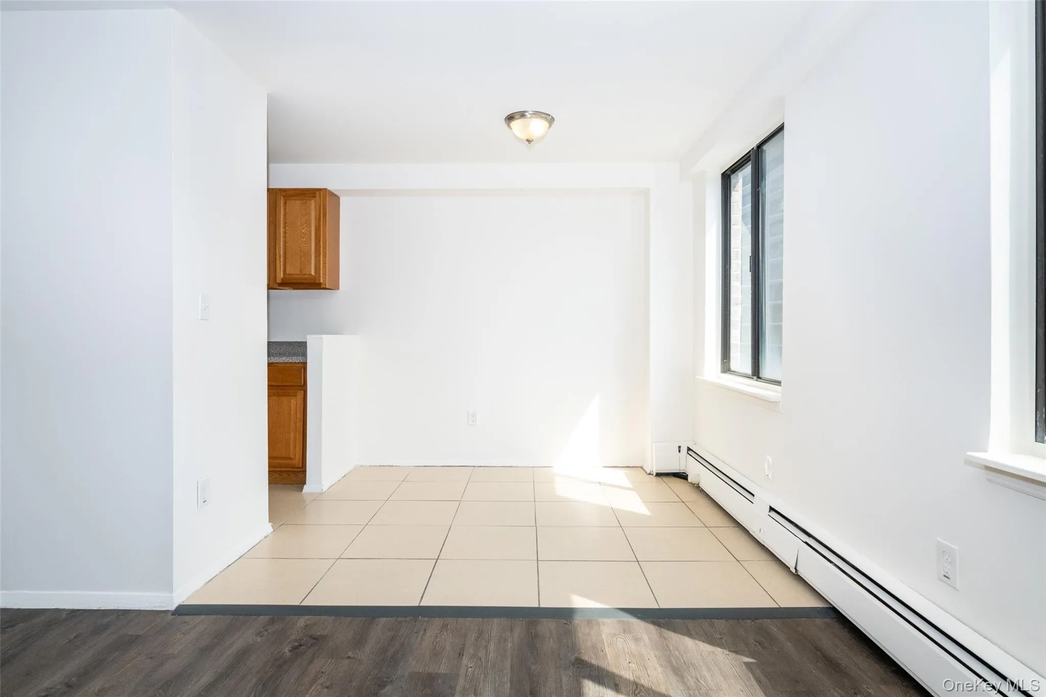 Spare room with a baseboard radiator and light wood-style flooring Spare room with a baseboard radiator and light wood-style flooring