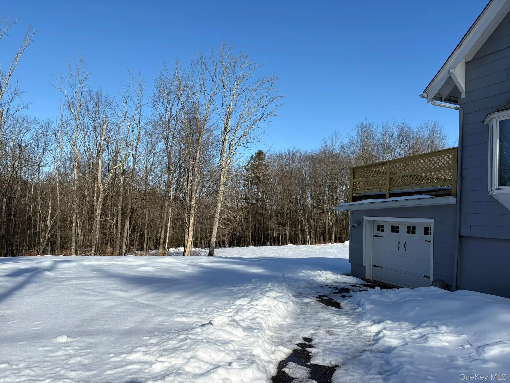 Yard covered in snow featuring a wooded view Yard covered in snow featuring a wooded view