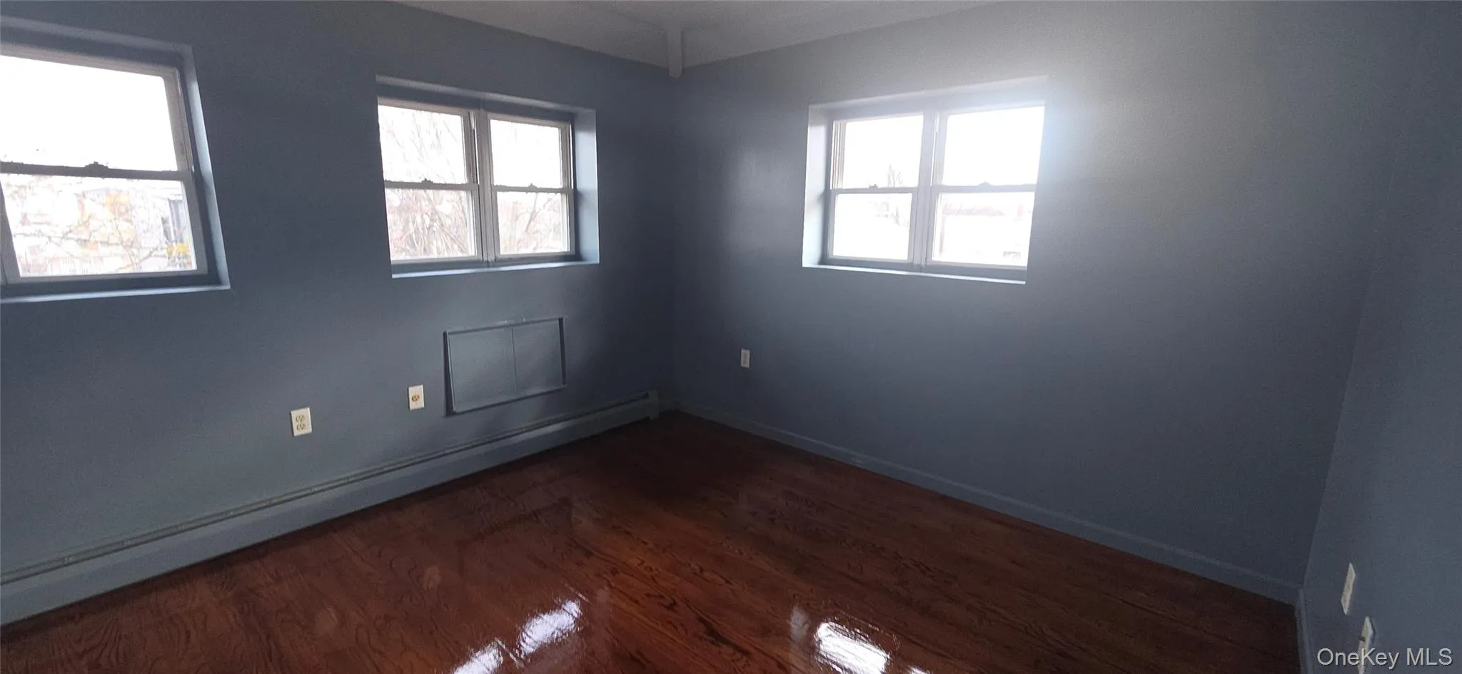 Spare room featuring a baseboard radiator and dark wood-style flooring Spare room featuring a baseboard radiator and dark wood-style flooring