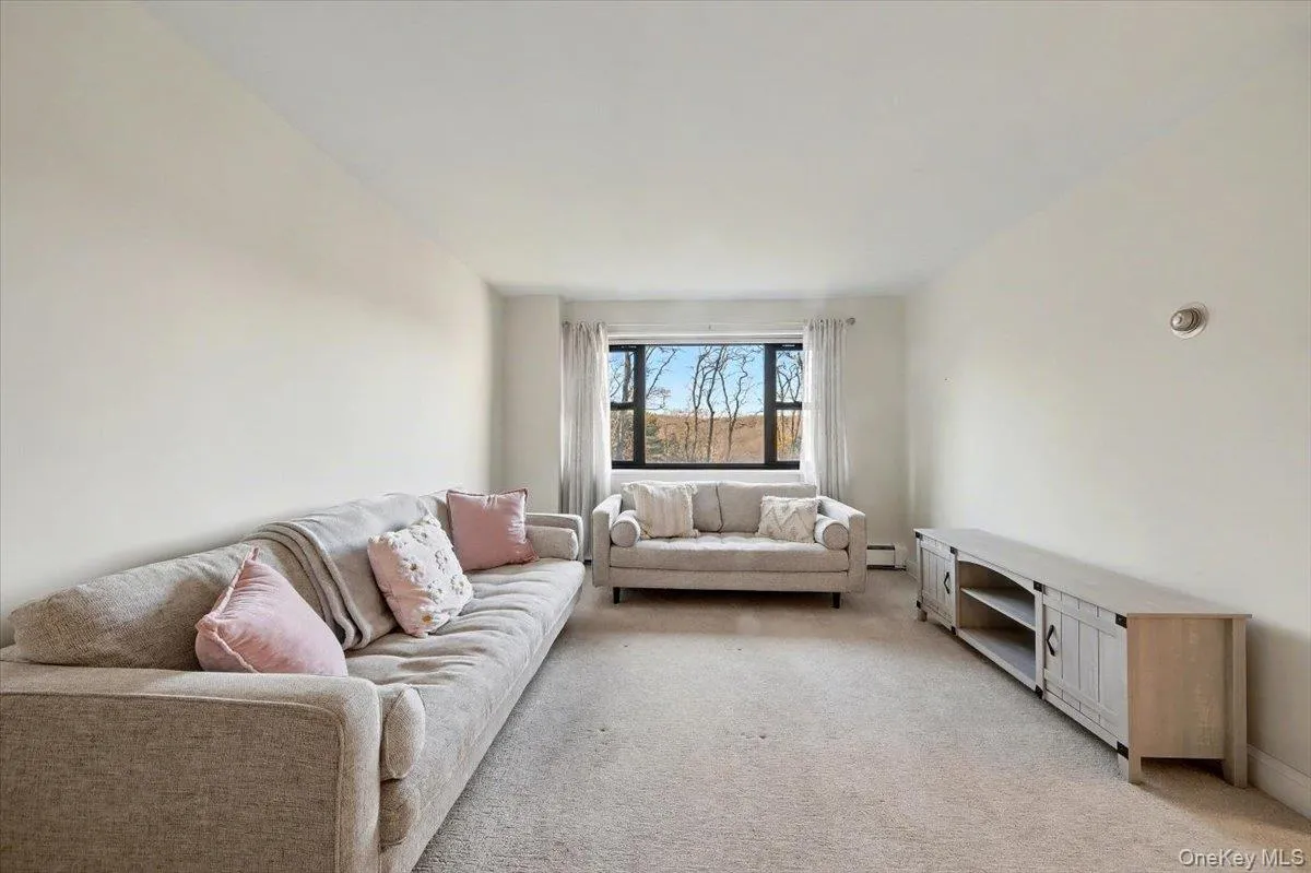 Living area featuring light carpet and a baseboard heating unit Living area featuring light carpet and a baseboard heating unit