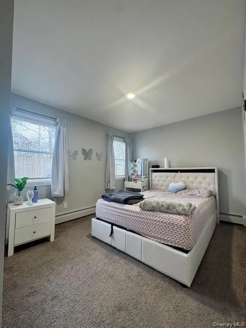 Carpeted bedroom with a baseboard radiator Carpeted bedroom with a baseboard radiator