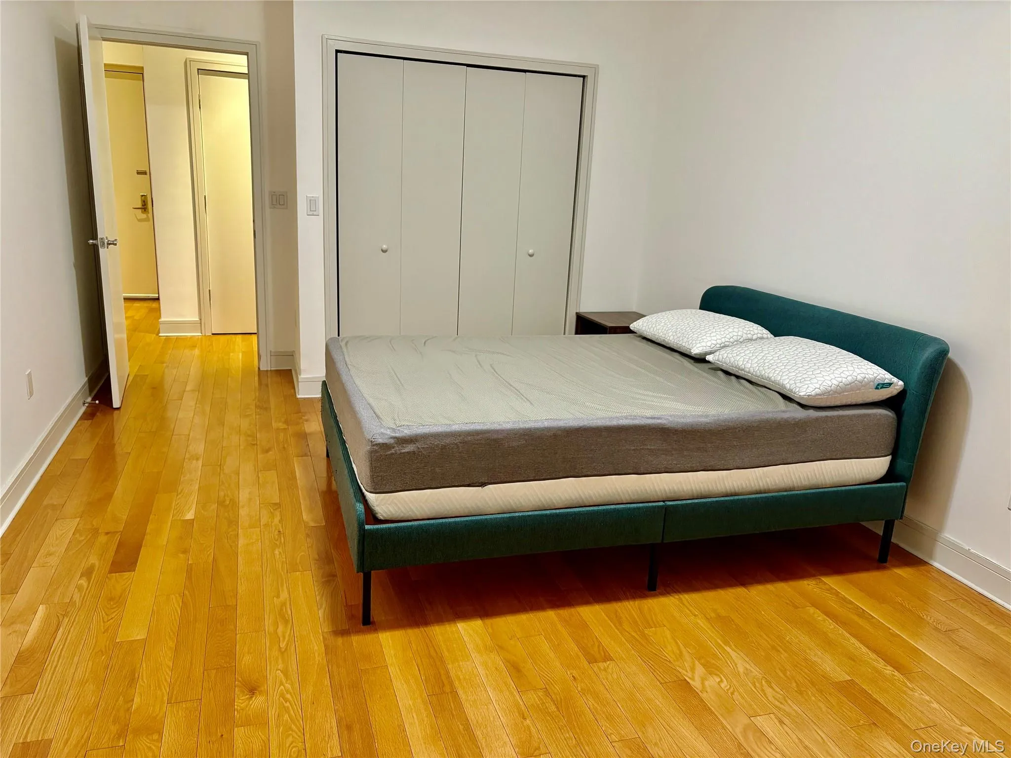 Bedroom featuring a closet and light wood-type flooring Bedroom featuring a closet and light wood-type flooring
