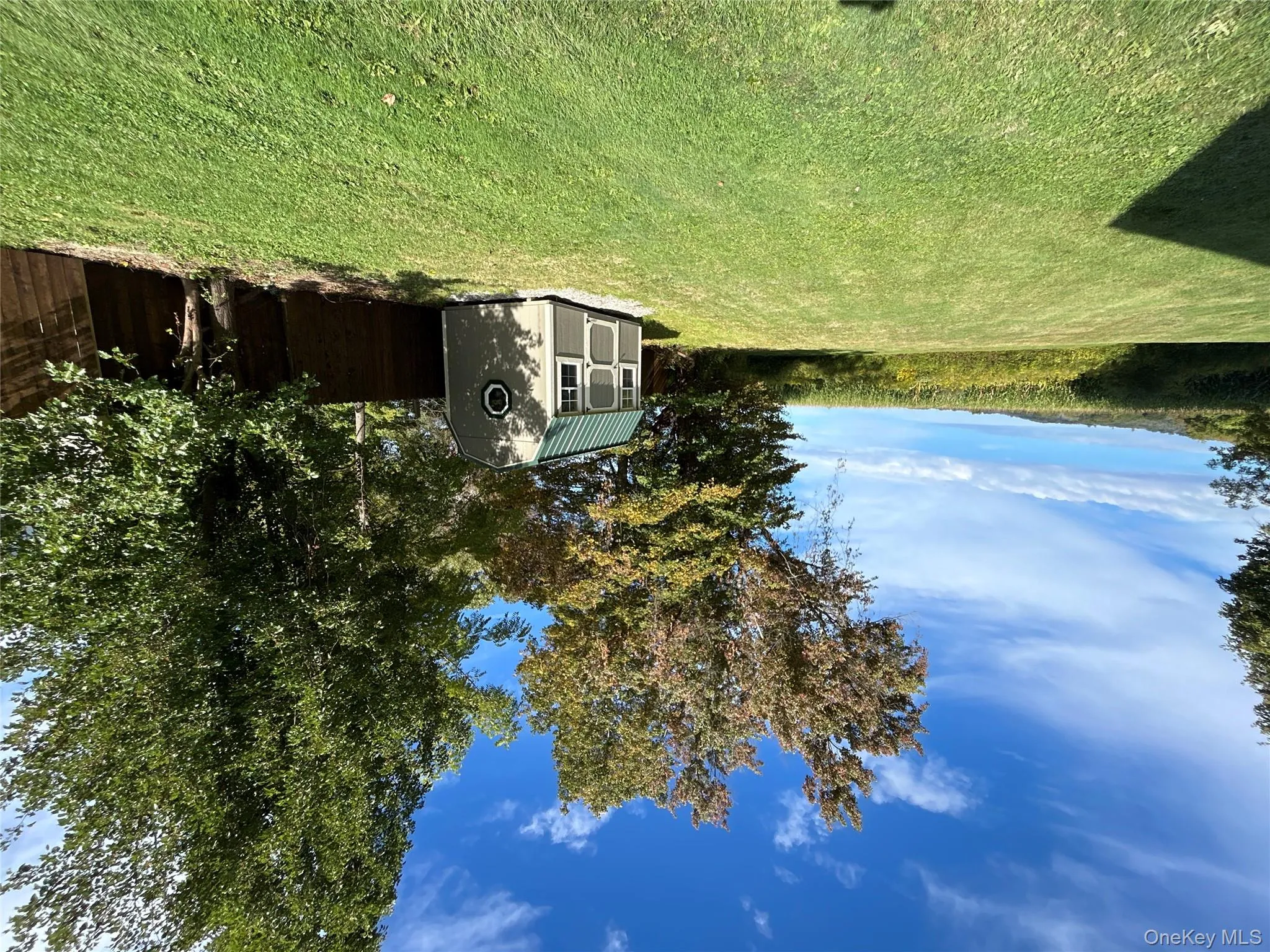View of grassy yard with a shed View of grassy yard with a shed