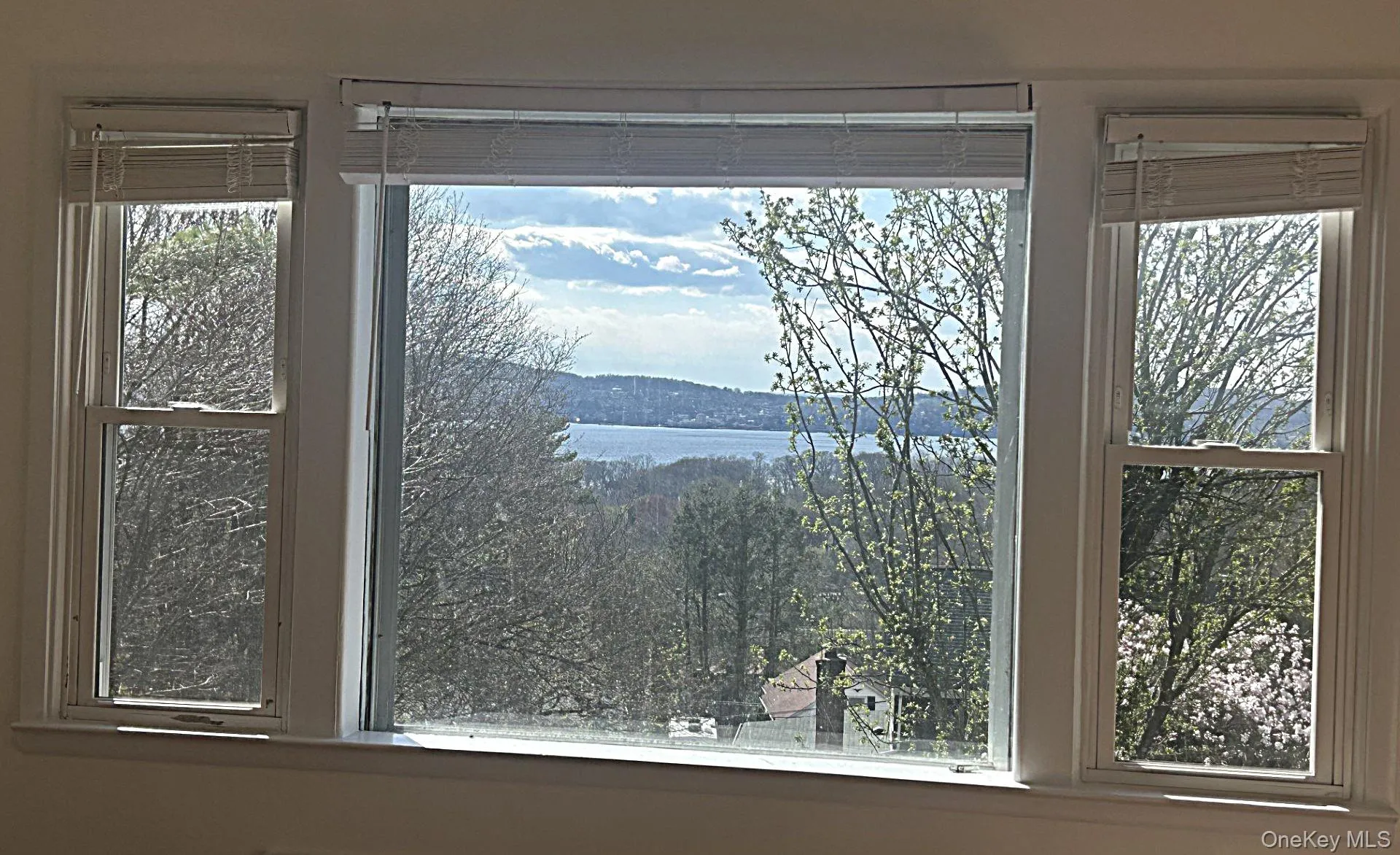 8 Ridge Street, Mount Pleasant, NY, 4 Bedrooms Bedrooms, 7 Rooms Rooms,3 BathroomsBathrooms,Residential Lease,For Rent,Ridge,0,949978 8 Ridge Street, Mount Pleasant, NY, 4 Bedrooms Bedrooms, 7 Rooms Rooms,3 BathroomsBathrooms,Residential Lease,For Rent,Ridge,0,949978