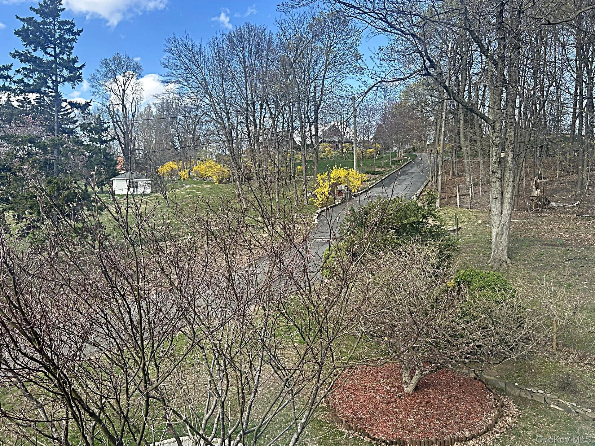 FRONT VIEW! FRONT VIEW!