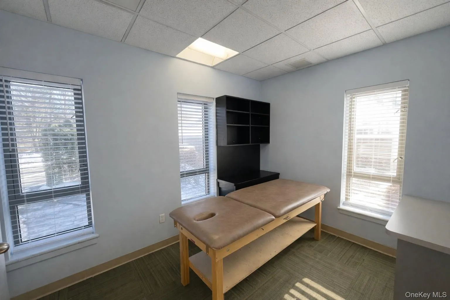 Carpeted office space with a paneled ceiling Carpeted office space with a paneled ceiling