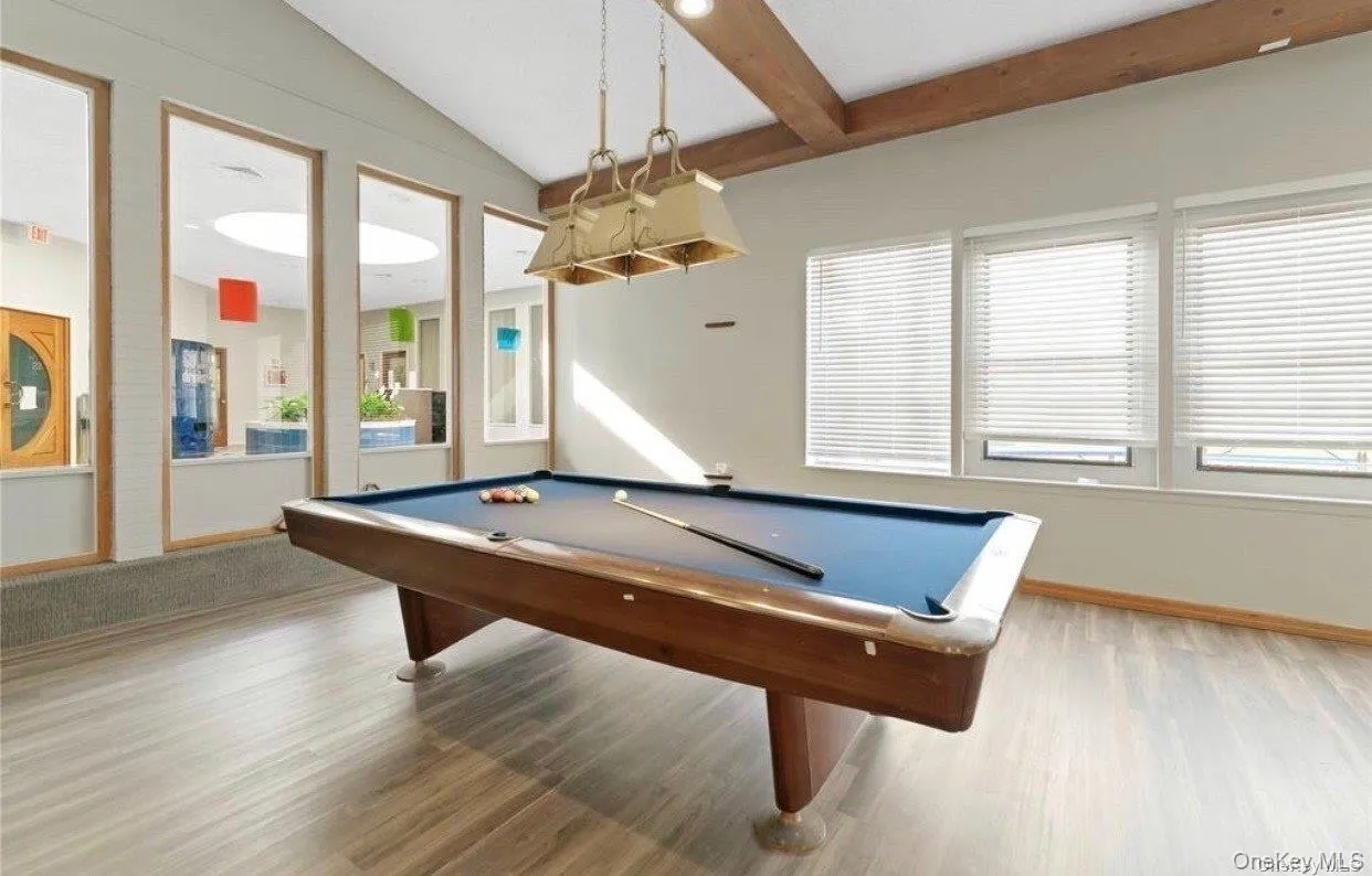 Playroom featuring billiards and healthy amount of natural light Playroom featuring billiards and healthy amount of natural light