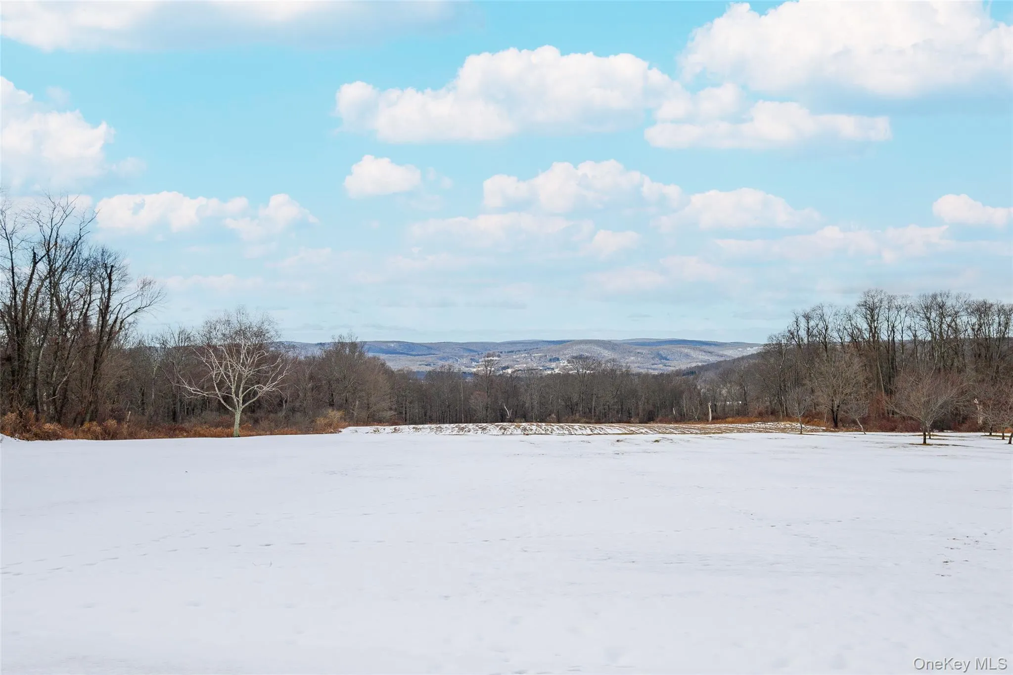 Yard layered in snow featuring a wooded view Yard layered in snow featuring a wooded view