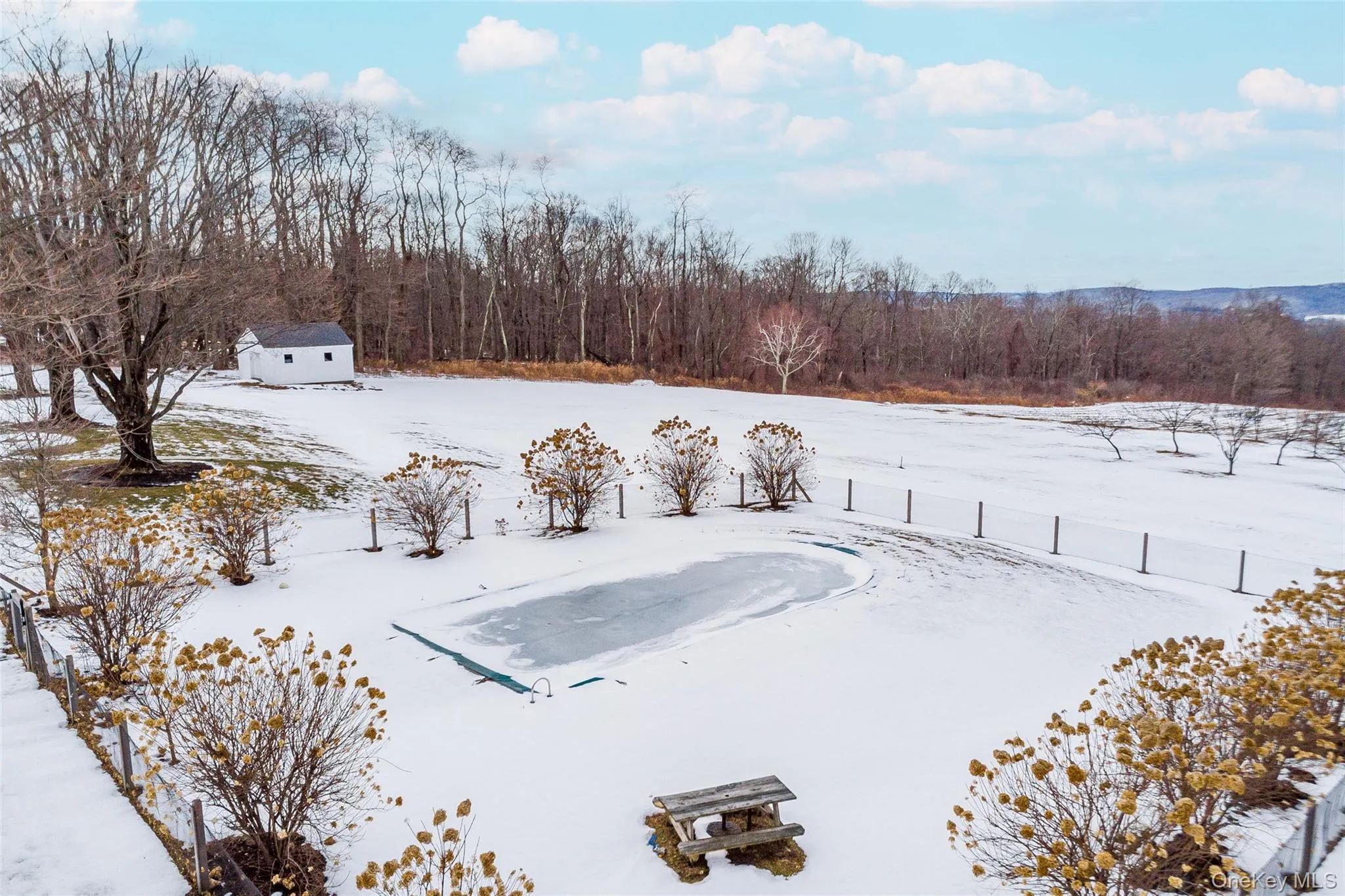 Snowy yard with a view of trees Snowy yard with a view of trees