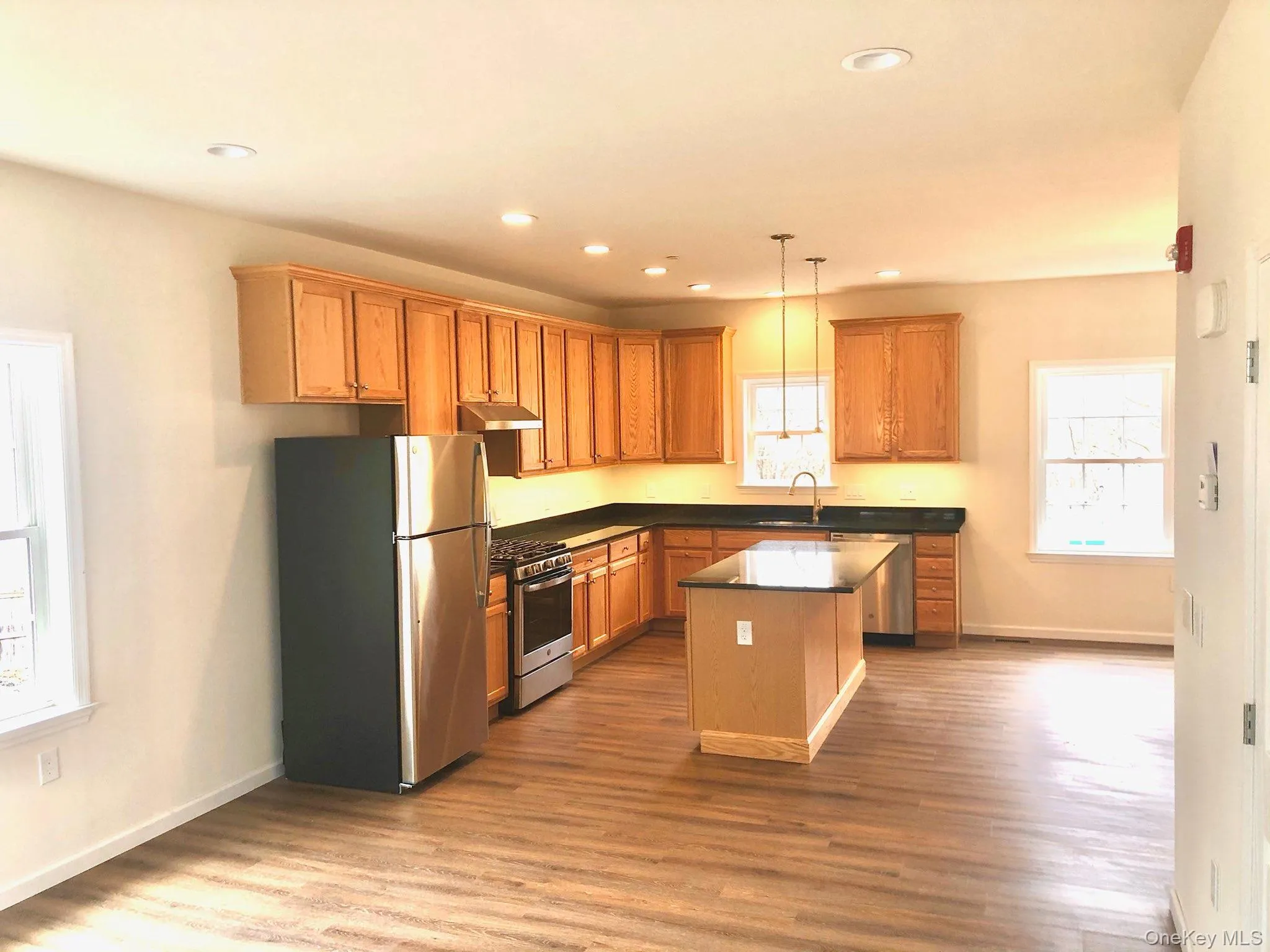 Kitchen with appliances with stainless steel finishes, dark countertops, dark wood-style floors, a center island, and pendant lighting Kitchen with appliances with stainless steel finishes, dark countertops, dark wood-style floors, a center island, and pendant lighting
