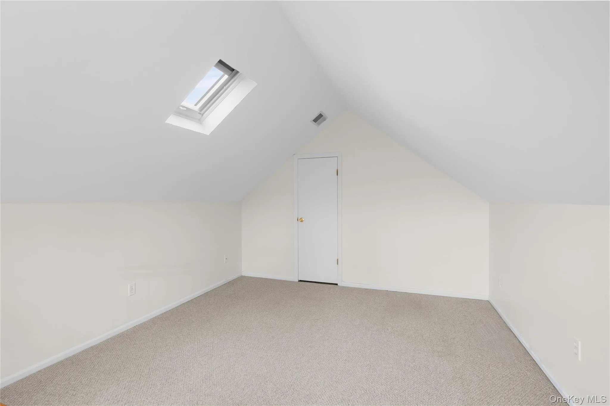 Bonus room featuring carpet flooring, lofted ceiling, and a skylight Bonus room featuring carpet flooring, lofted ceiling, and a skylight