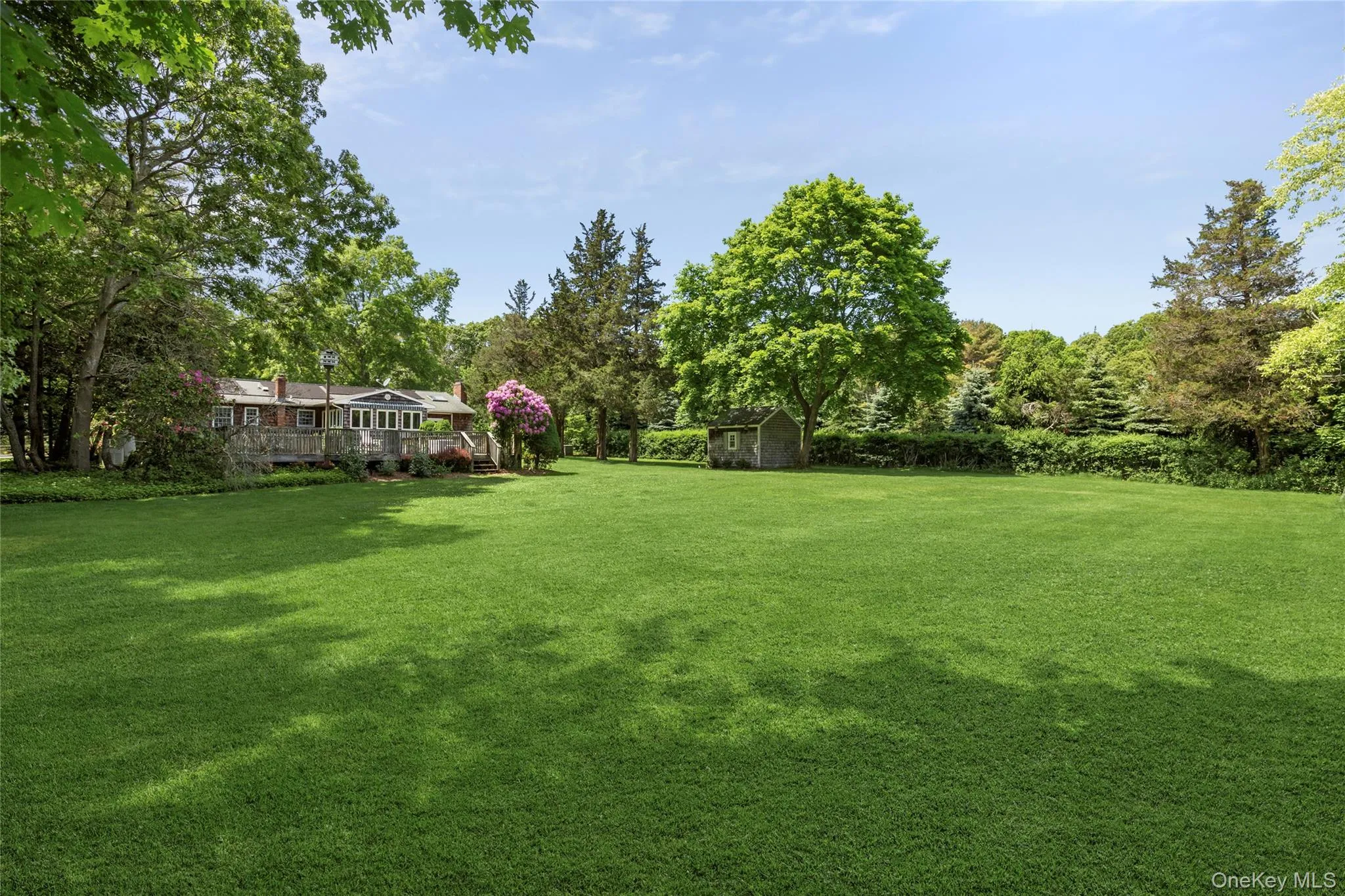 Back yard overlooking the home with just shy an acre of property. Back yard overlooking the home with just shy an acre of property.
