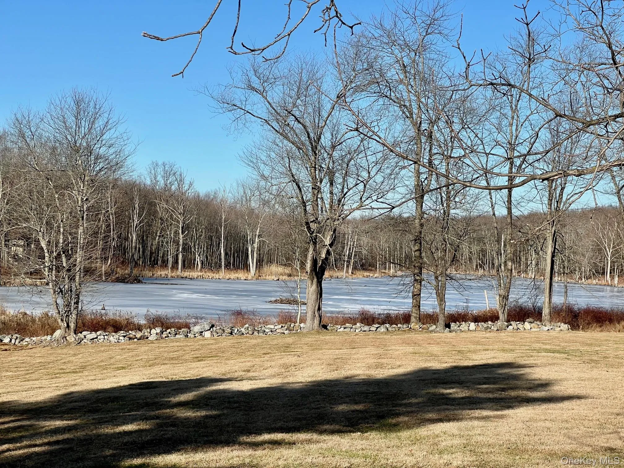 View of sweeping lawn, pond and grassy wetlands. View of sweeping lawn, pond and grassy wetlands.