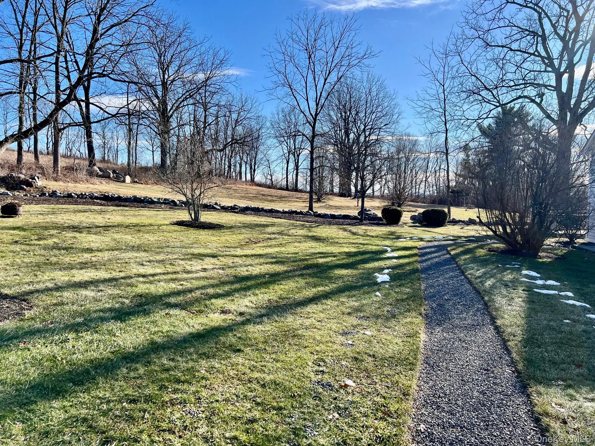 View of green lawn in back yard View of green lawn in back yard