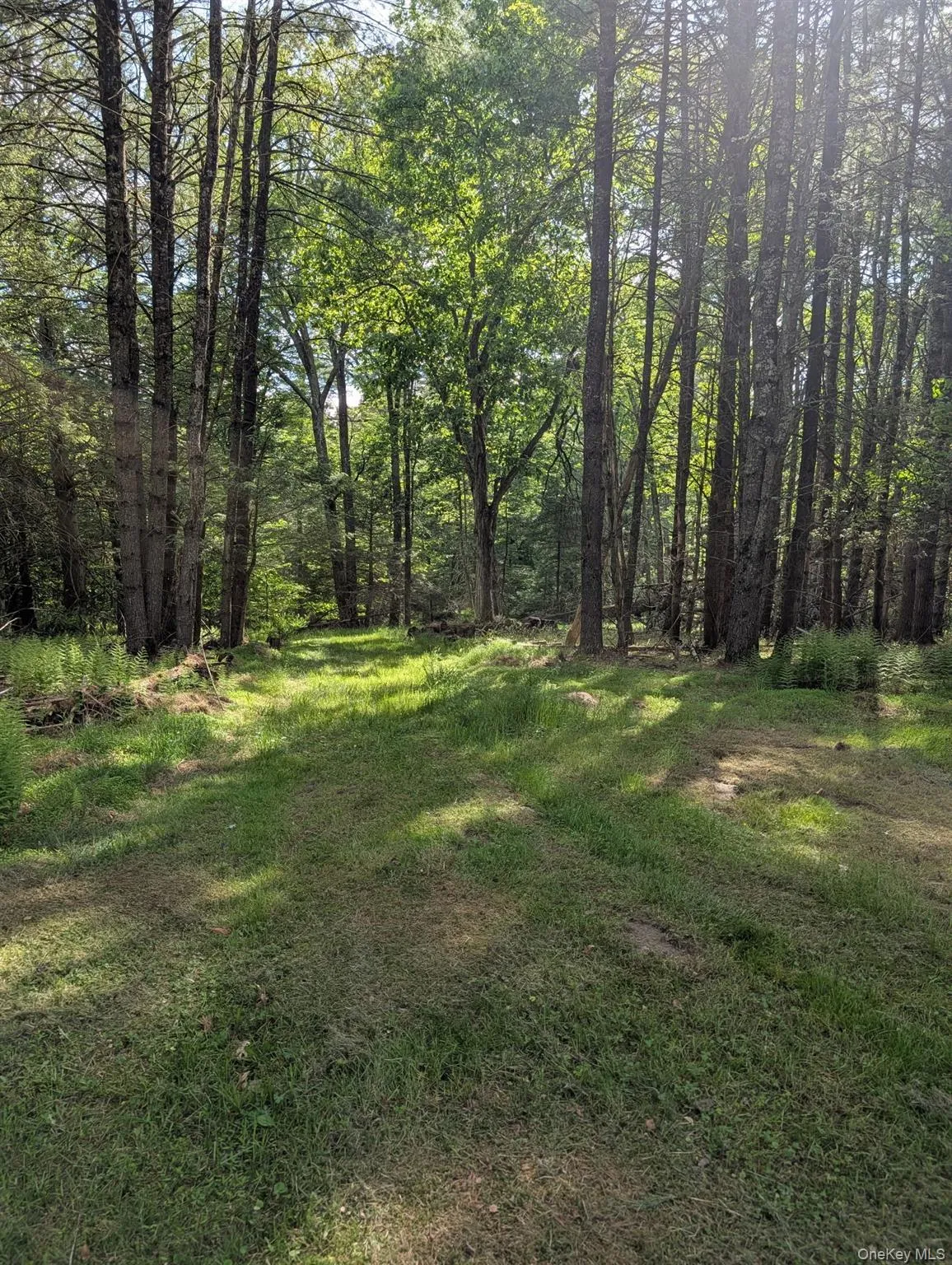 807 Beaver Brook Road, Tusten, NY, 2 Bedrooms Bedrooms, 7 Rooms Rooms,2 BathroomsBathrooms,Residential,For Rent,Beaver Brook,0,950345 807 Beaver Brook Road, Tusten, NY, 2 Bedrooms Bedrooms, 7 Rooms Rooms,2 BathroomsBathrooms,Residential,For Rent,Beaver Brook,0,950345