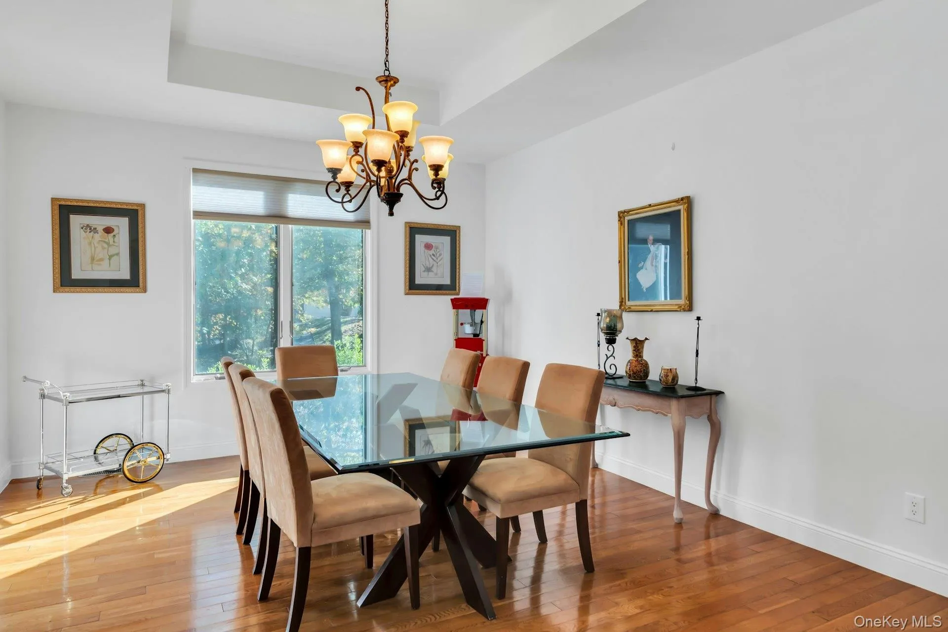 Dining area featuring hardwood / wood-style flooring, a chandelier, and a tray ceiling