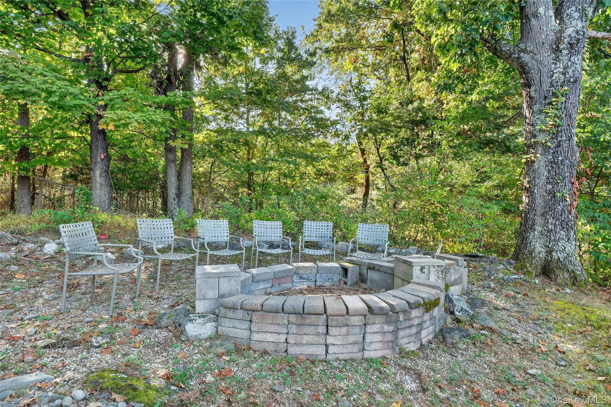 Firepit and BBQ Firepit and BBQ