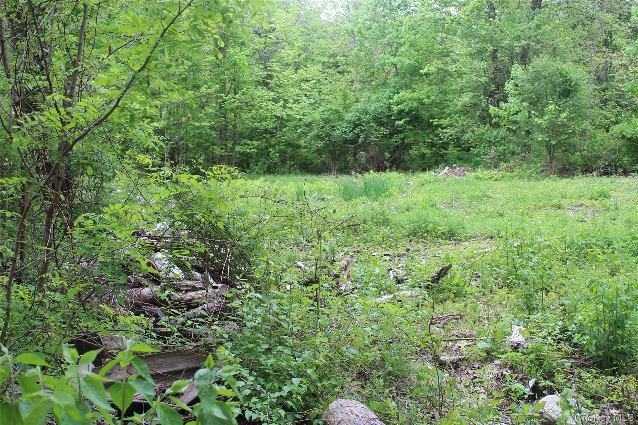 Lakes Road Lakes Road