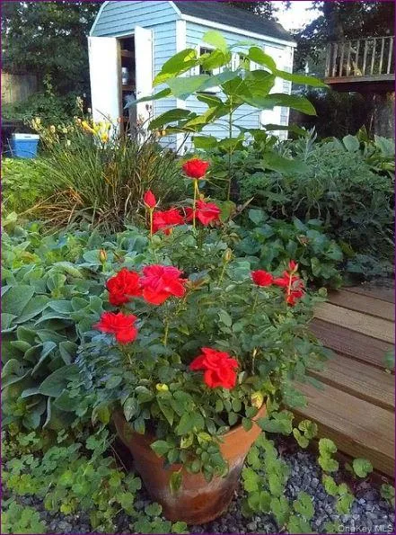 20 Princeton Street, Red Hook, NY, 3 Bedrooms Bedrooms, 5 Rooms Rooms,1 BathroomBathrooms,Residential Lease,Idx,Princeton,0,950537 20 Princeton Street, Red Hook, NY, 3 Bedrooms Bedrooms, 5 Rooms Rooms,1 BathroomBathrooms,Residential Lease,Idx,Princeton,0,950537