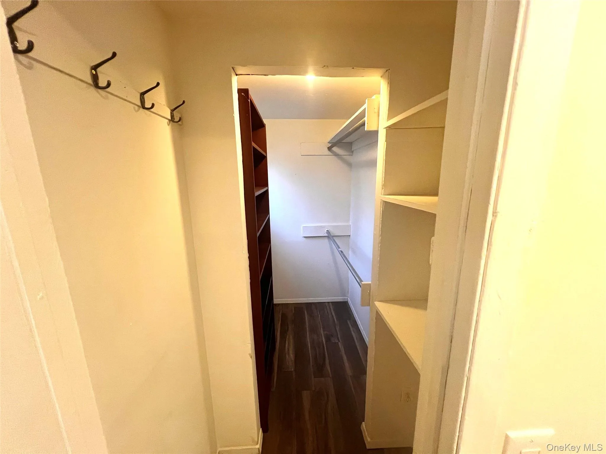 Walk in closet featuring dark wood-style floors Walk in closet featuring dark wood-style floors