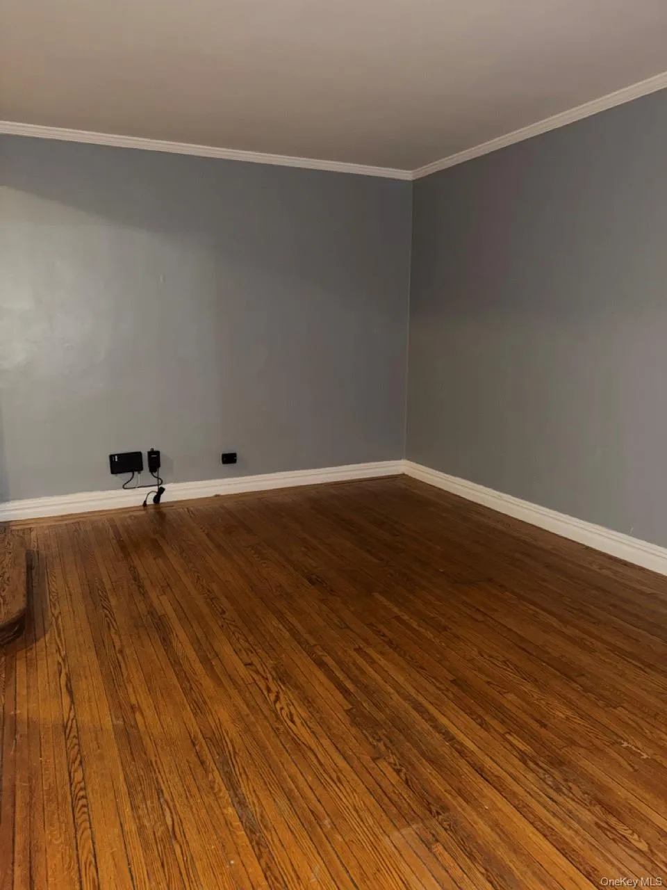 Living area featuring dark hardwood flooring, crown molding, and a radiator heating unit Living area featuring dark hardwood flooring, crown molding, and a radiator heating unit