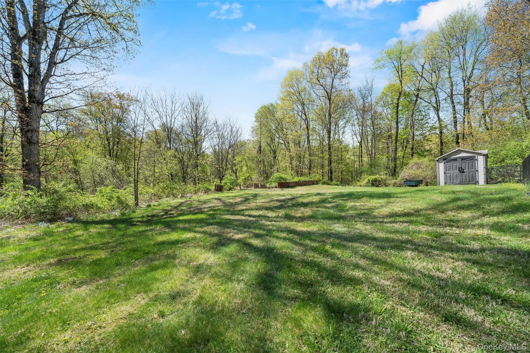 View of green lawn with a storage unit and a wooded view View of green lawn with a storage unit and a wooded view
