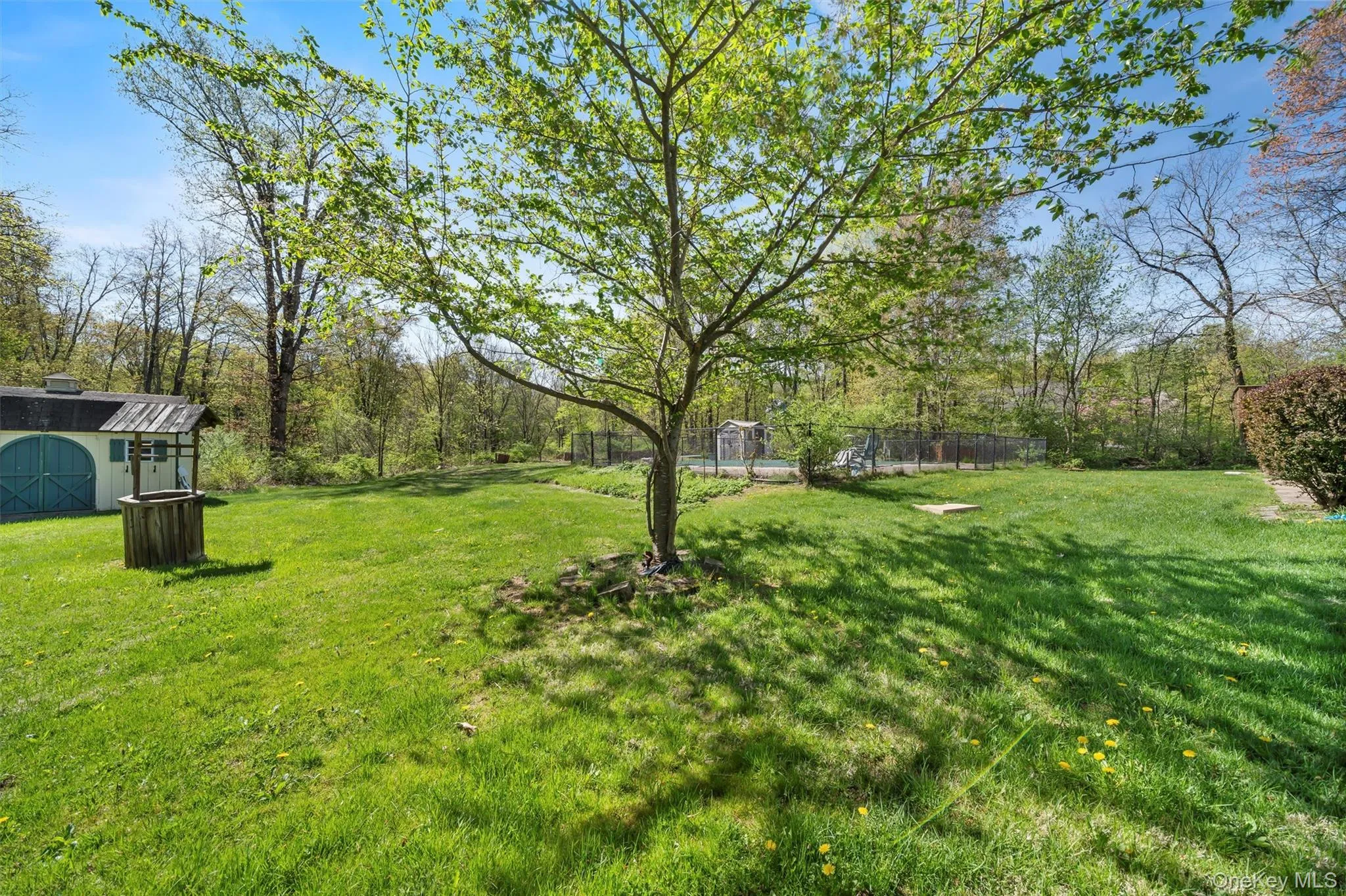View of yard featuring an outbuilding View of yard featuring an outbuilding