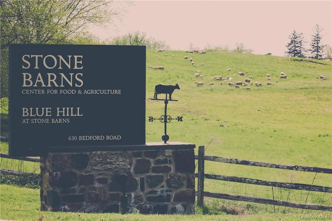 414 Benedict Avenue, Greenburgh, NY, 1 Bedroom Bedrooms, 5 Rooms Rooms,1 BathroomBathrooms,Residential Lease,For Rent,Benedict,0,950664 414 Benedict Avenue, Greenburgh, NY, 1 Bedroom Bedrooms, 5 Rooms Rooms,1 BathroomBathrooms,Residential Lease,For Rent,Benedict,0,950664