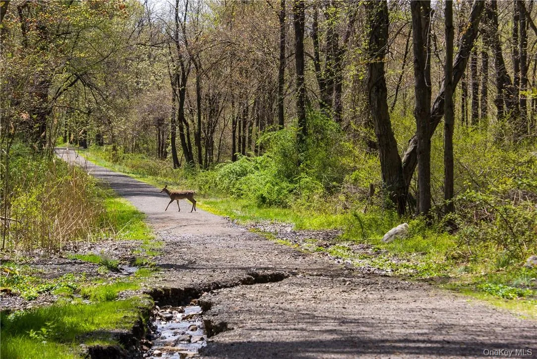 414 Benedict Avenue, Greenburgh, NY, 1 Bedroom Bedrooms, 5 Rooms Rooms,1 BathroomBathrooms,Residential Lease,For Rent,Benedict,0,950664 414 Benedict Avenue, Greenburgh, NY, 1 Bedroom Bedrooms, 5 Rooms Rooms,1 BathroomBathrooms,Residential Lease,For Rent,Benedict,0,950664