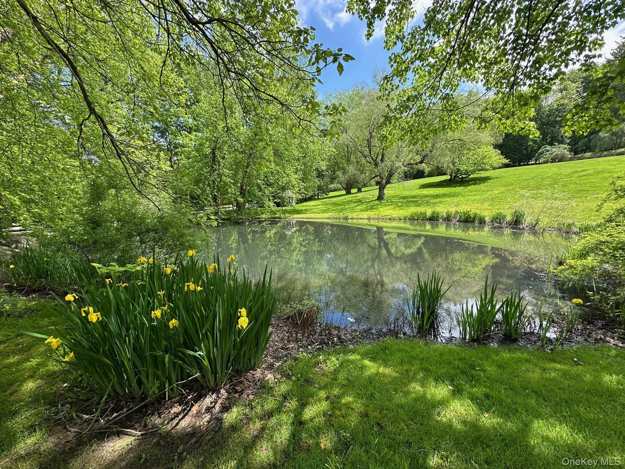150 Old Farm Road, Mount Pleasant, NY, 5 Bedrooms Bedrooms, 14 Rooms Rooms,5 BathroomsBathrooms,Residential,For Rent,Old Farm,0,950756 150 Old Farm Road, Mount Pleasant, NY, 5 Bedrooms Bedrooms, 14 Rooms Rooms,5 BathroomsBathrooms,Residential,For Rent,Old Farm,0,950756
