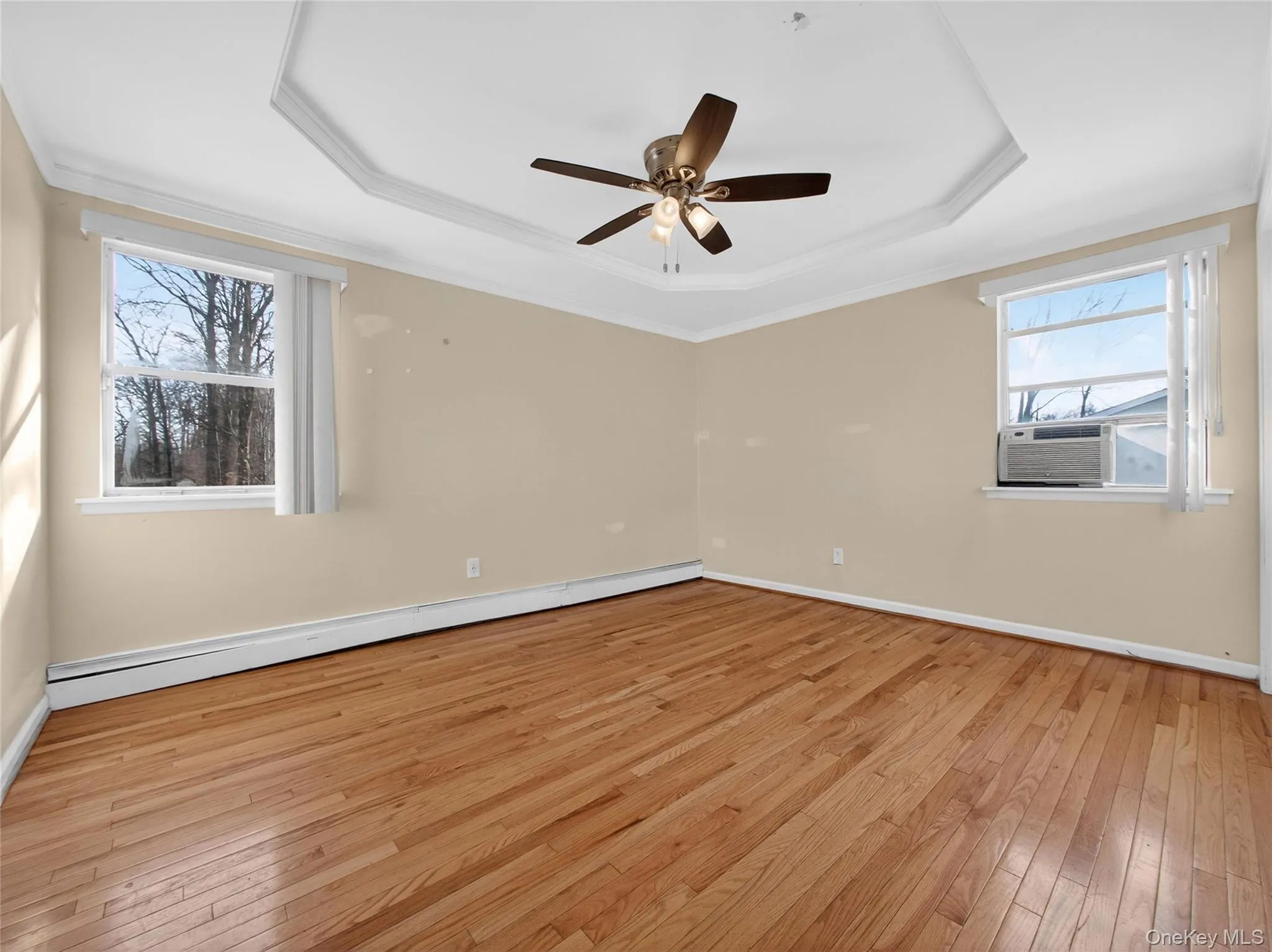 Empty room featuring a tray ceiling, baseboard heating, ornamental molding, light wood-style floors, and plenty of natural light Empty room featuring a tray ceiling, baseboard heating, ornamental molding, light wood-style floors, and plenty of natural light