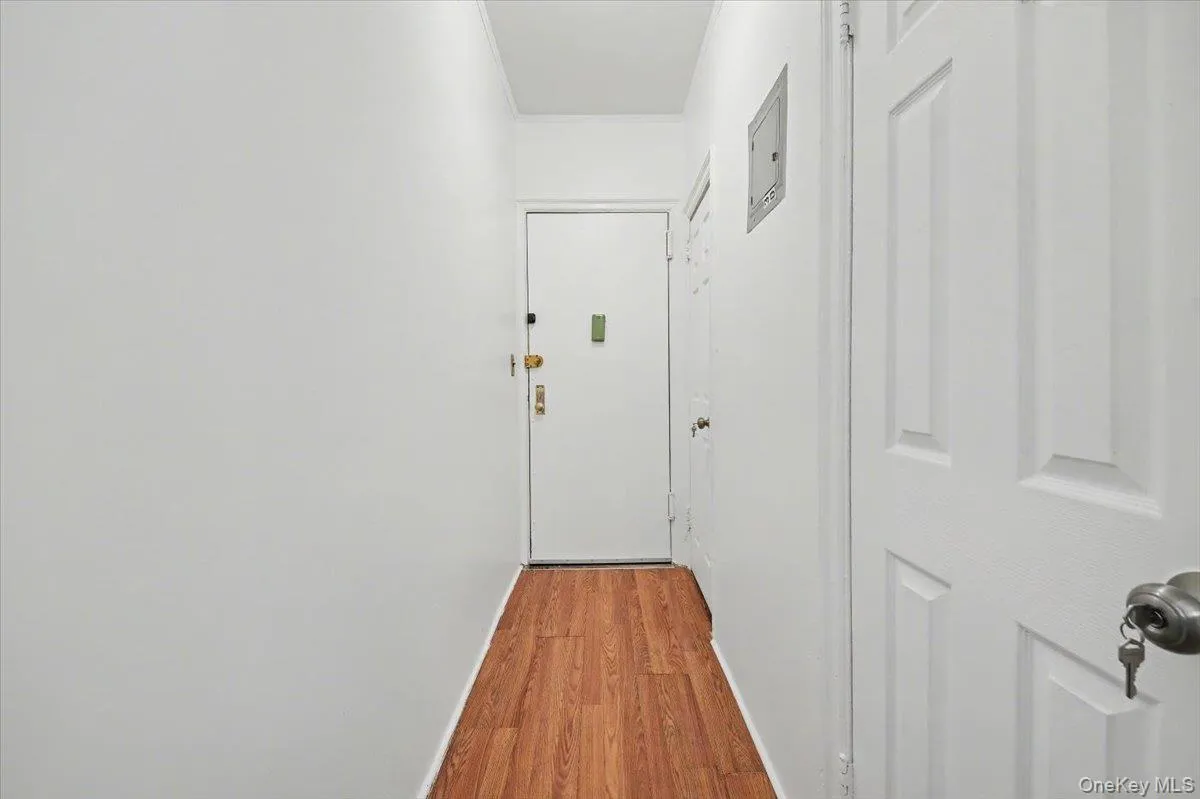 Hall featuring light wood-style floors and electric panel Hall featuring light wood-style floors and electric panel