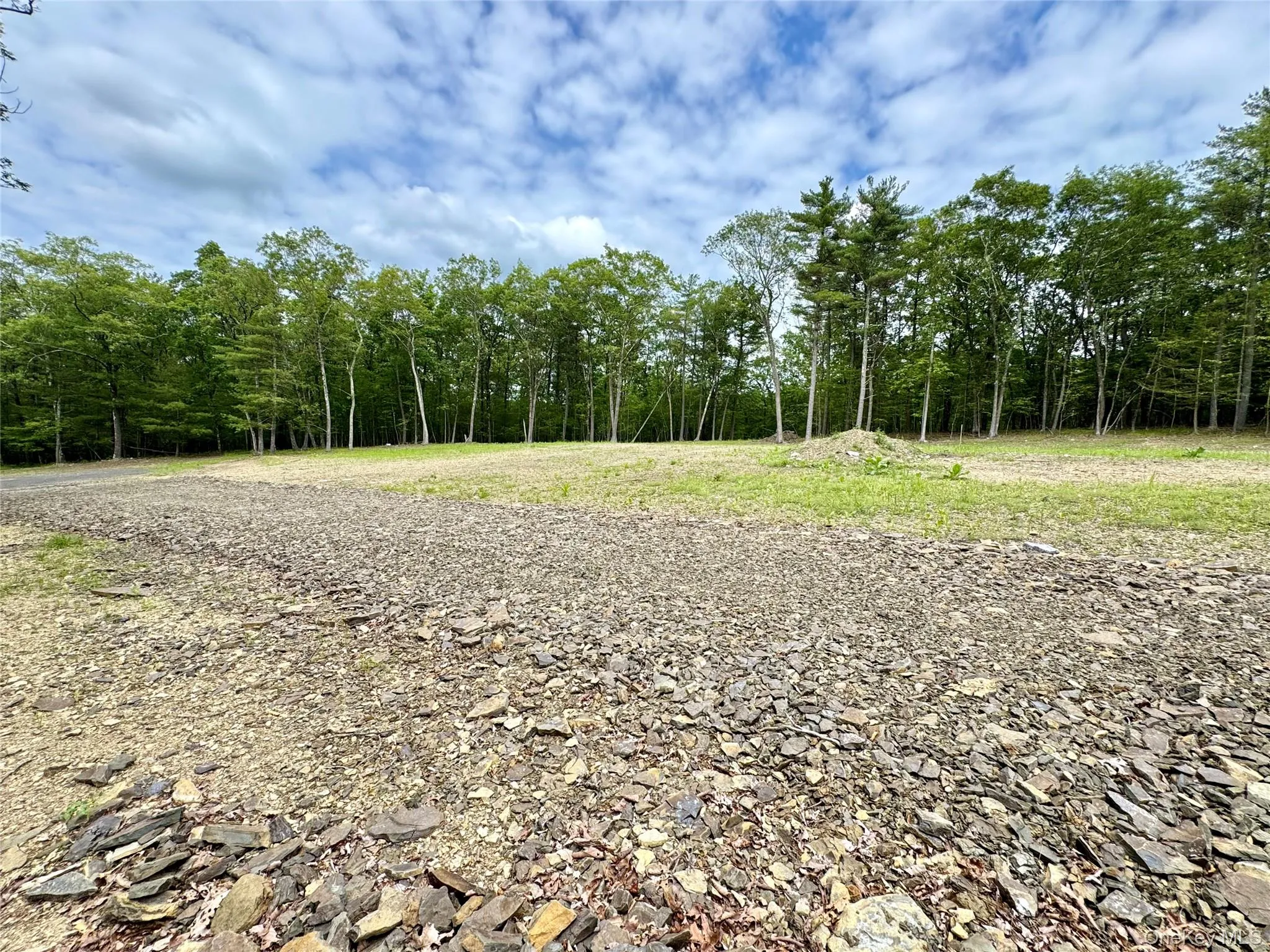 View of undeveloped land View of undeveloped land
