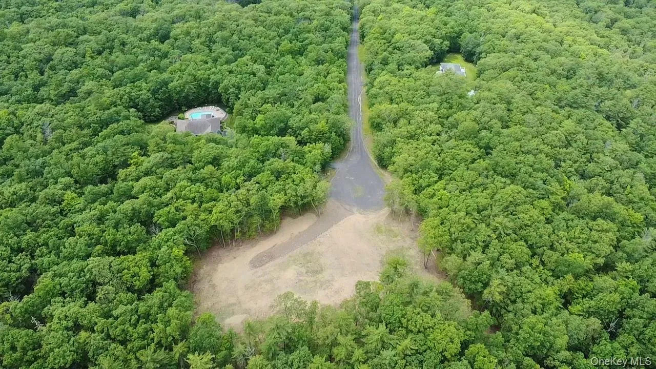 Drone / aerial view of a forest Drone / aerial view of a forest