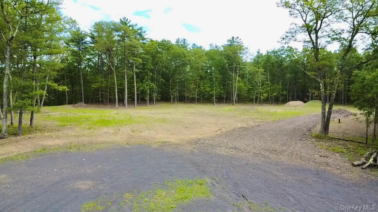 View of dirt / gravel road with a forest view View of dirt / gravel road with a forest view