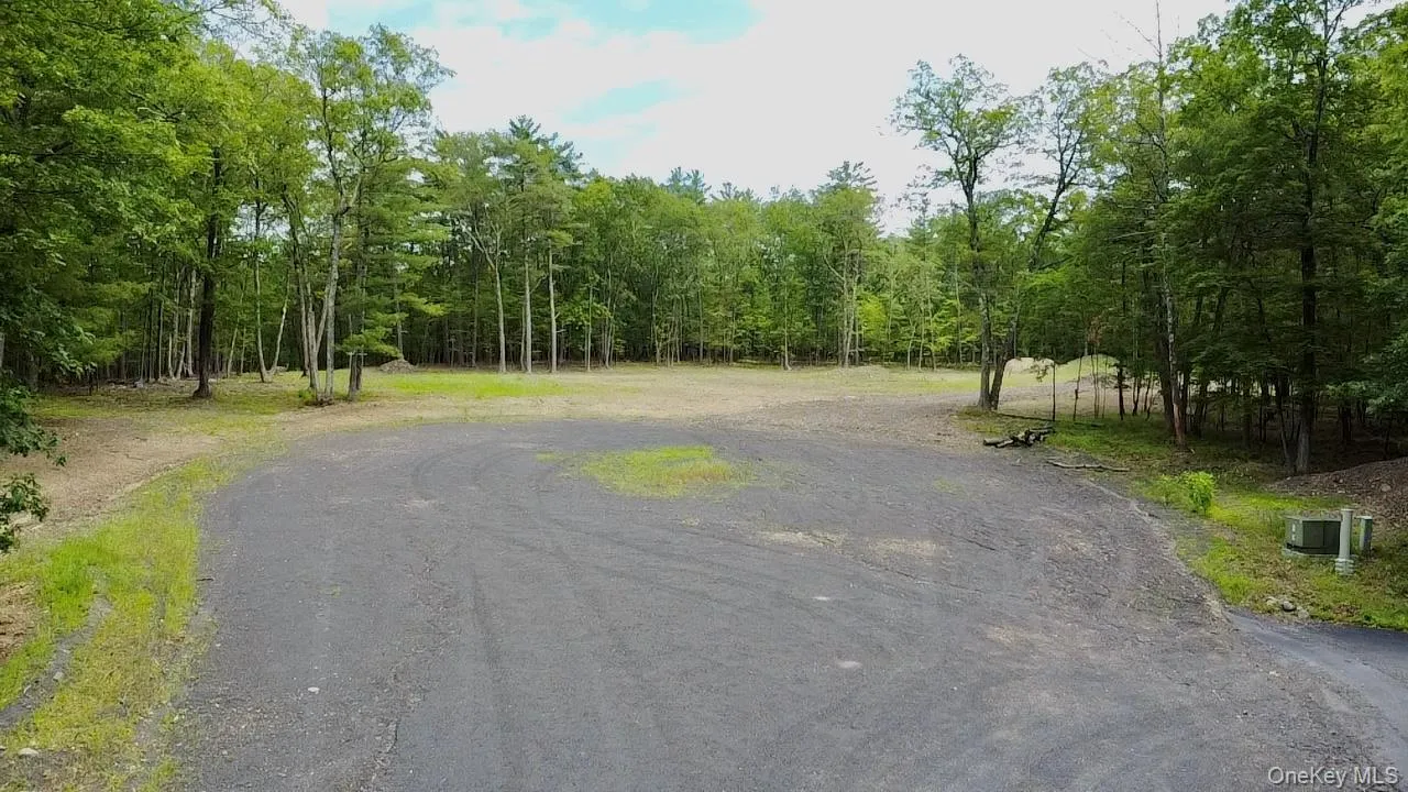 View of asphalt road with a wooded view View of asphalt road with a wooded view