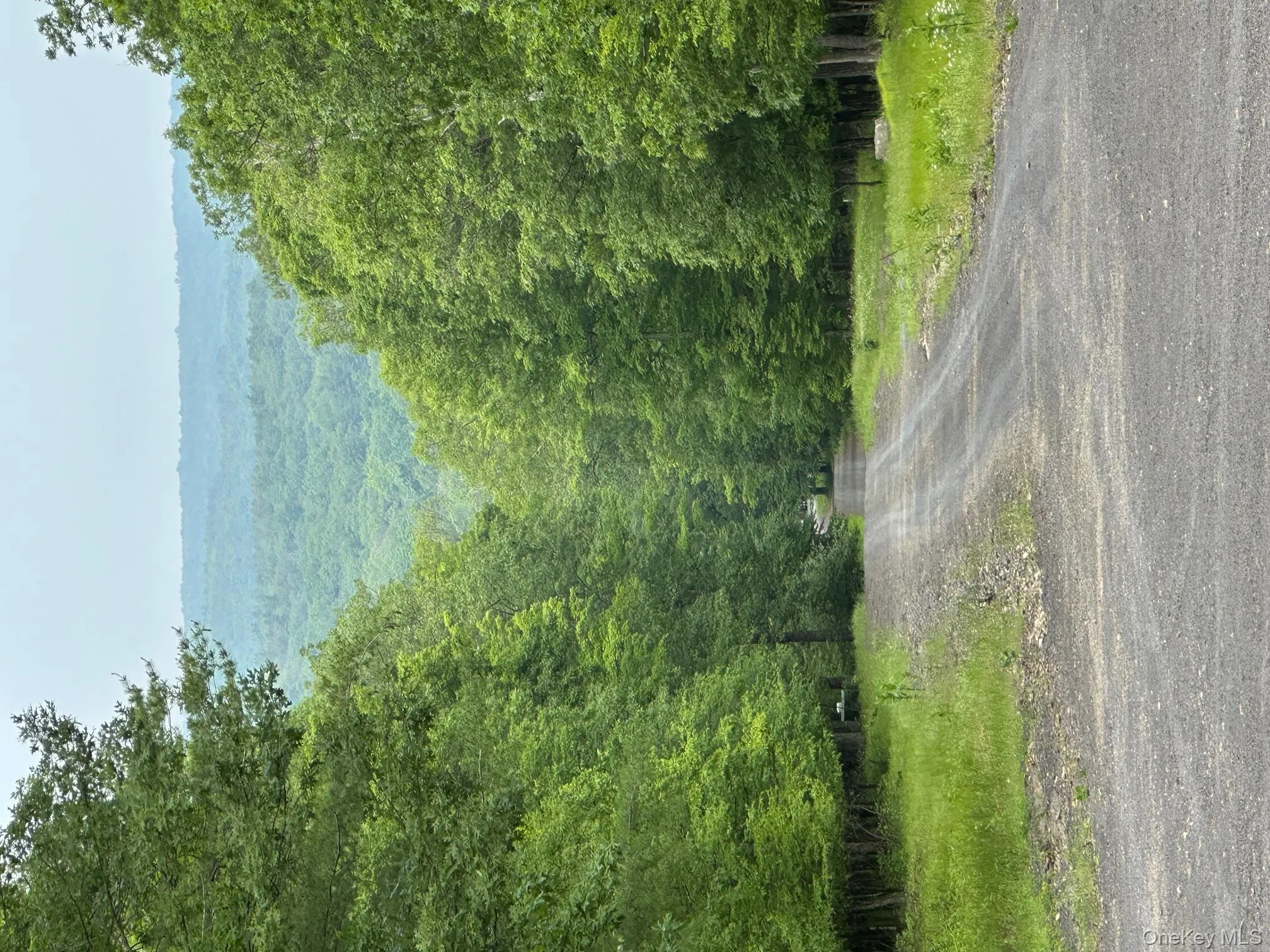 Mountain view featuring a forest Mountain view featuring a forest