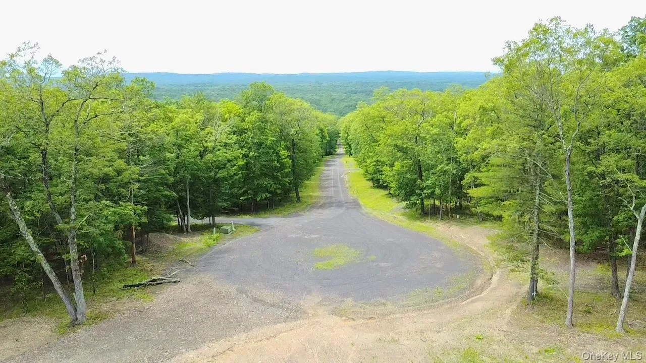 View of asphalt street featuring a view of trees View of asphalt street featuring a view of trees