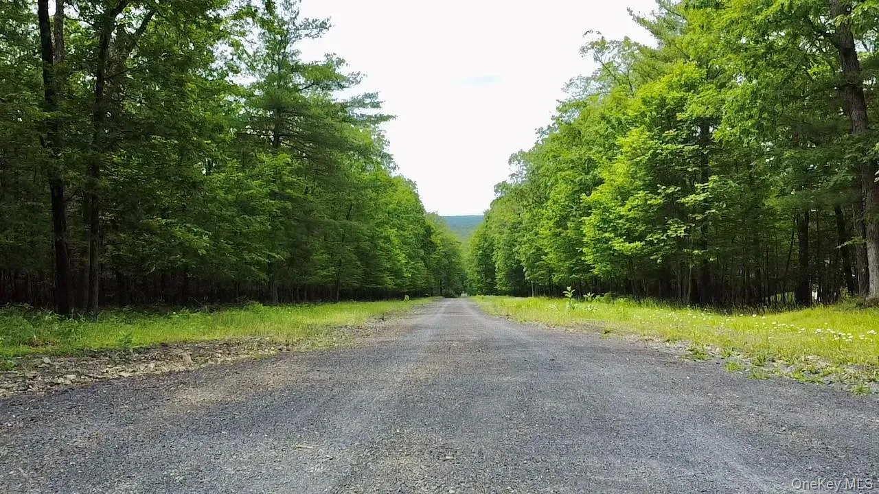 View of road with a view of trees View of road with a view of trees