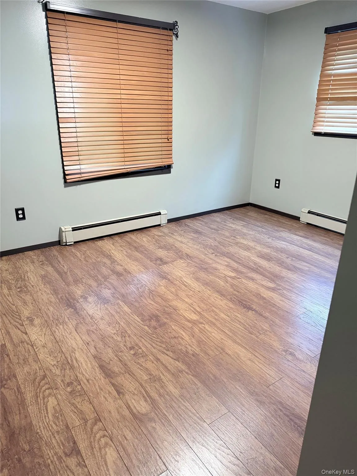 Unfurnished room featuring baseboard heating and light wood-style floors Unfurnished room featuring baseboard heating and light wood-style floors