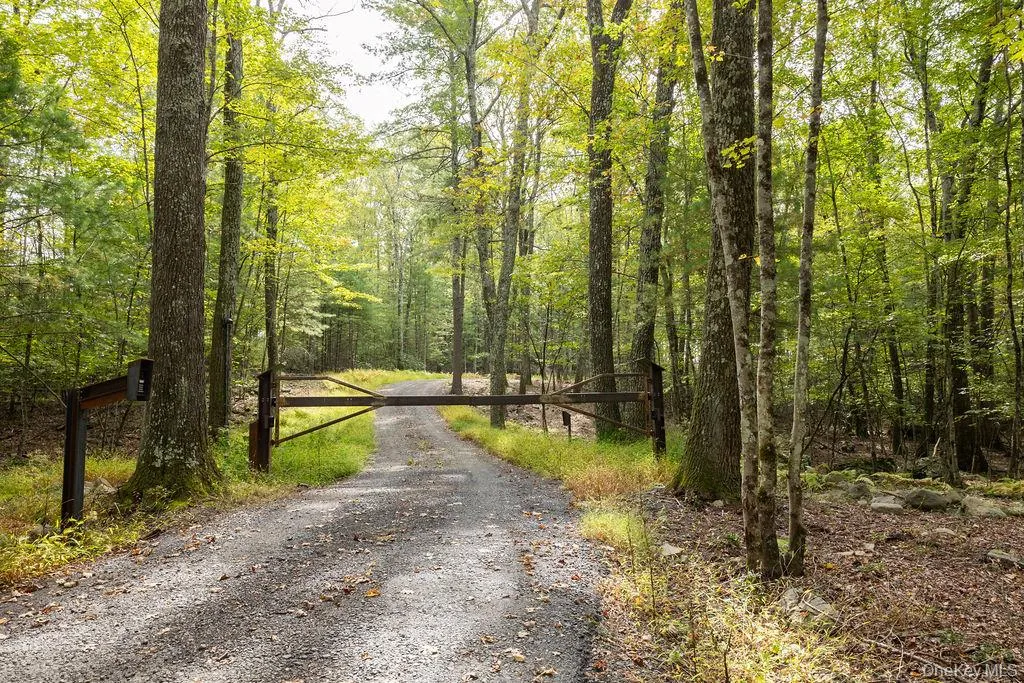 View of road featuring a view of trees View of road featuring a view of trees