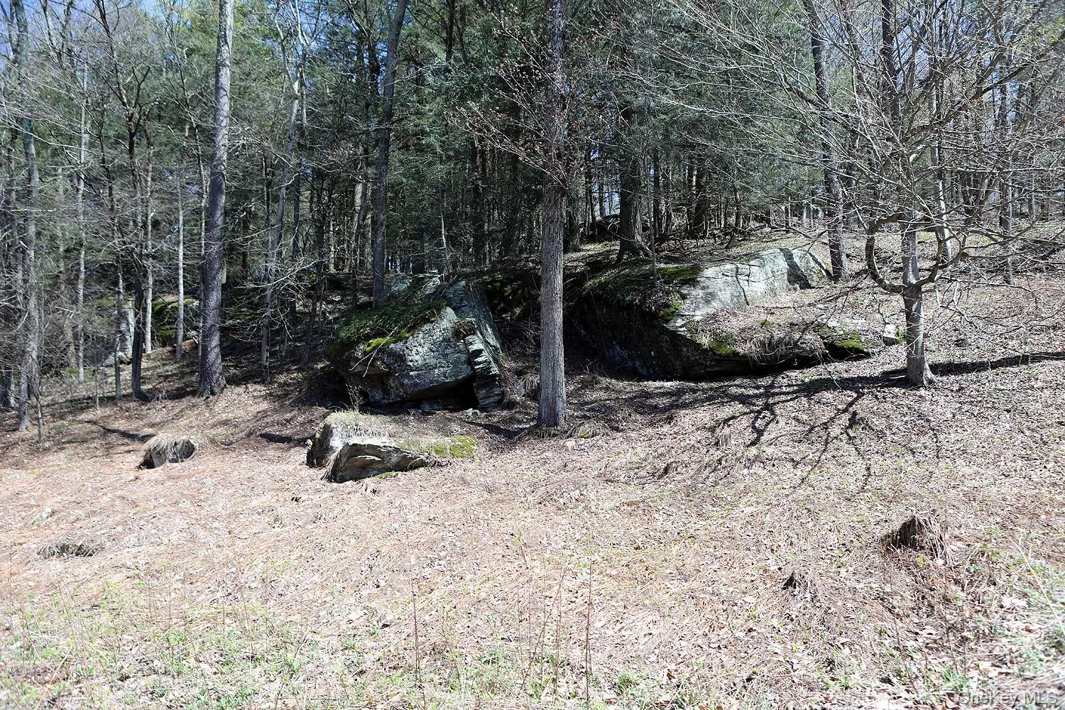 Lot 29 Kenoza Trail, Delaware, NY, ,Land,For Rent,Kenoza,0,950975 Lot 29 Kenoza Trail, Delaware, NY, ,Land,For Rent,Kenoza,0,950975