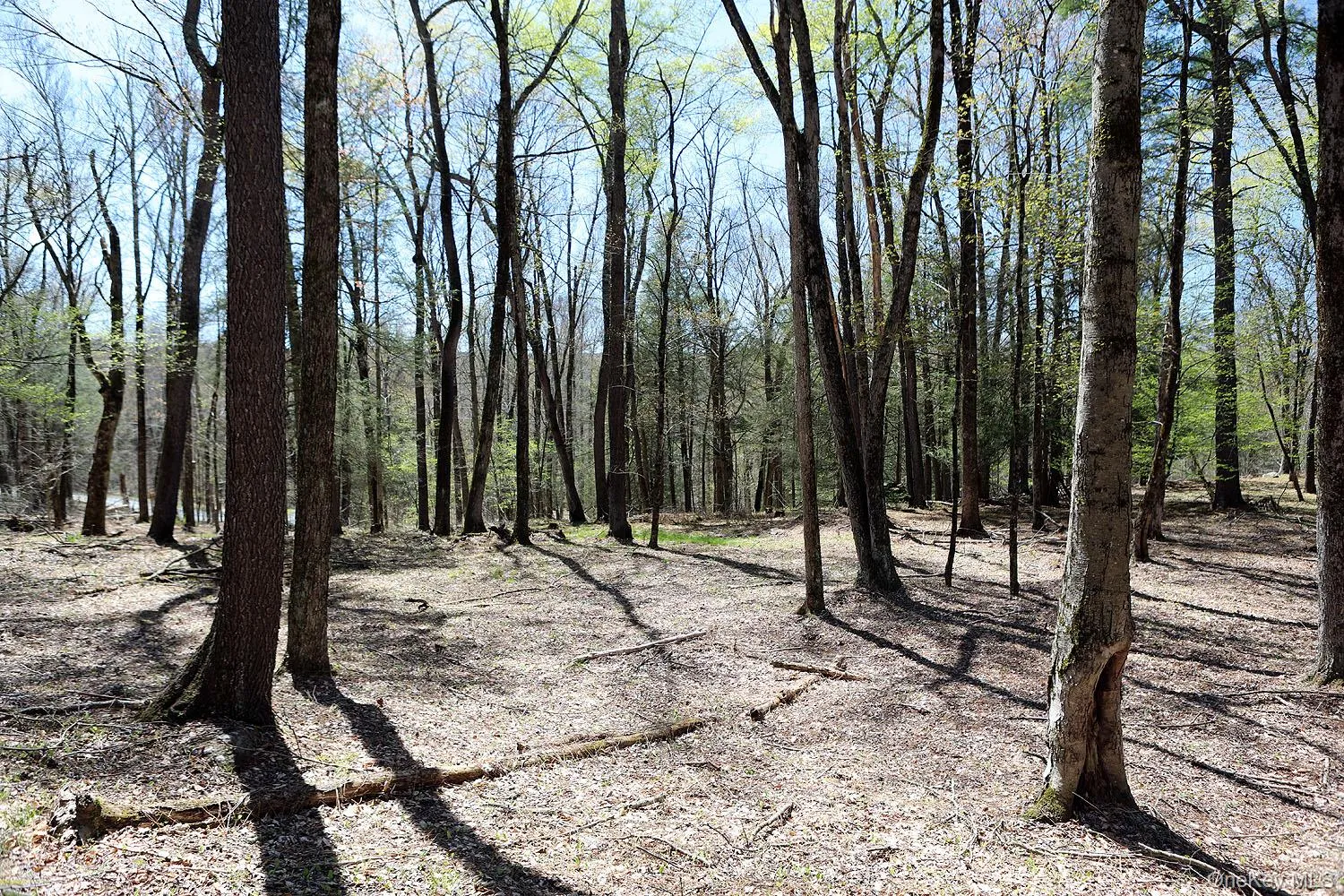 Lot 29 Kenoza Trail, Delaware, NY, ,Land,For Rent,Kenoza,0,950975 Lot 29 Kenoza Trail, Delaware, NY, ,Land,For Rent,Kenoza,0,950975