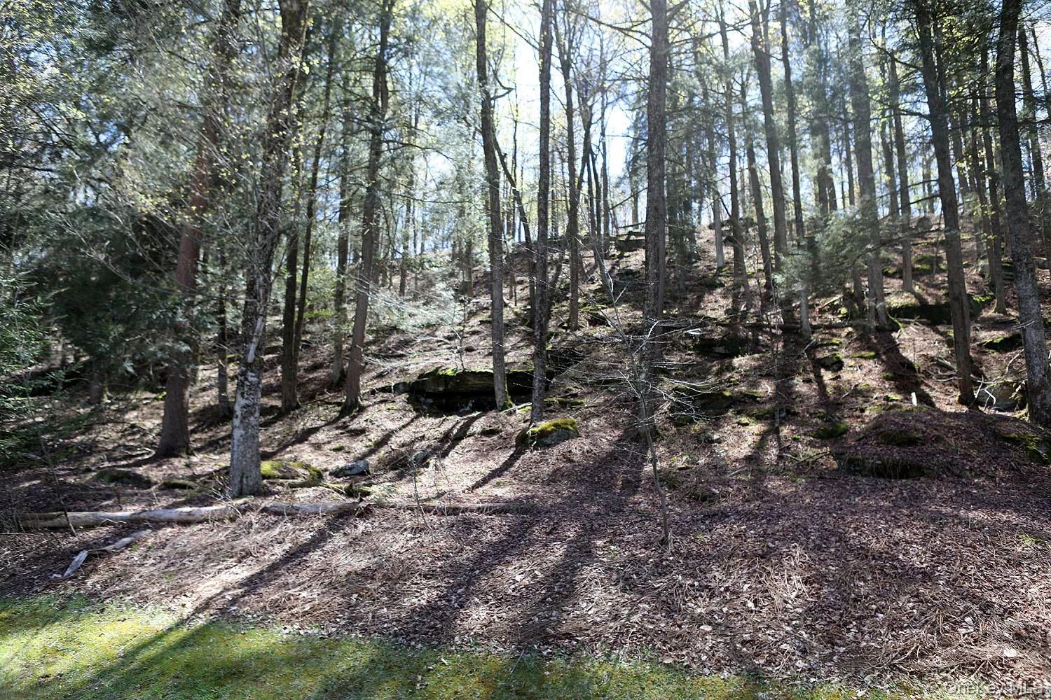 Lot 29 Kenoza Trail, Delaware, NY, ,Land,For Rent,Kenoza,0,950975 Lot 29 Kenoza Trail, Delaware, NY, ,Land,For Rent,Kenoza,0,950975